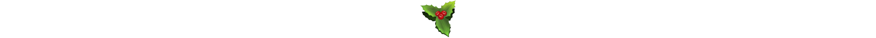 wide-holly.png
