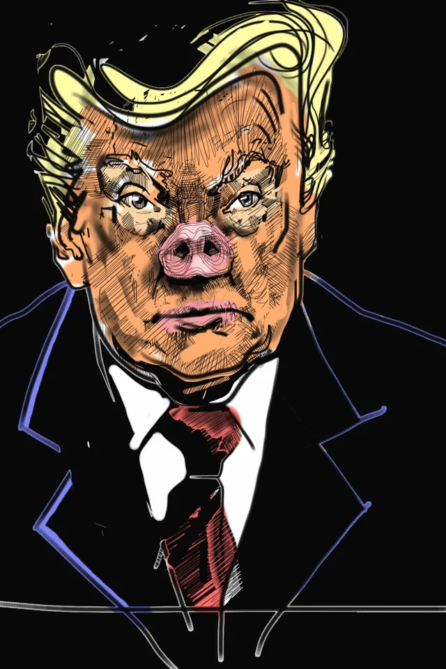 Pig
