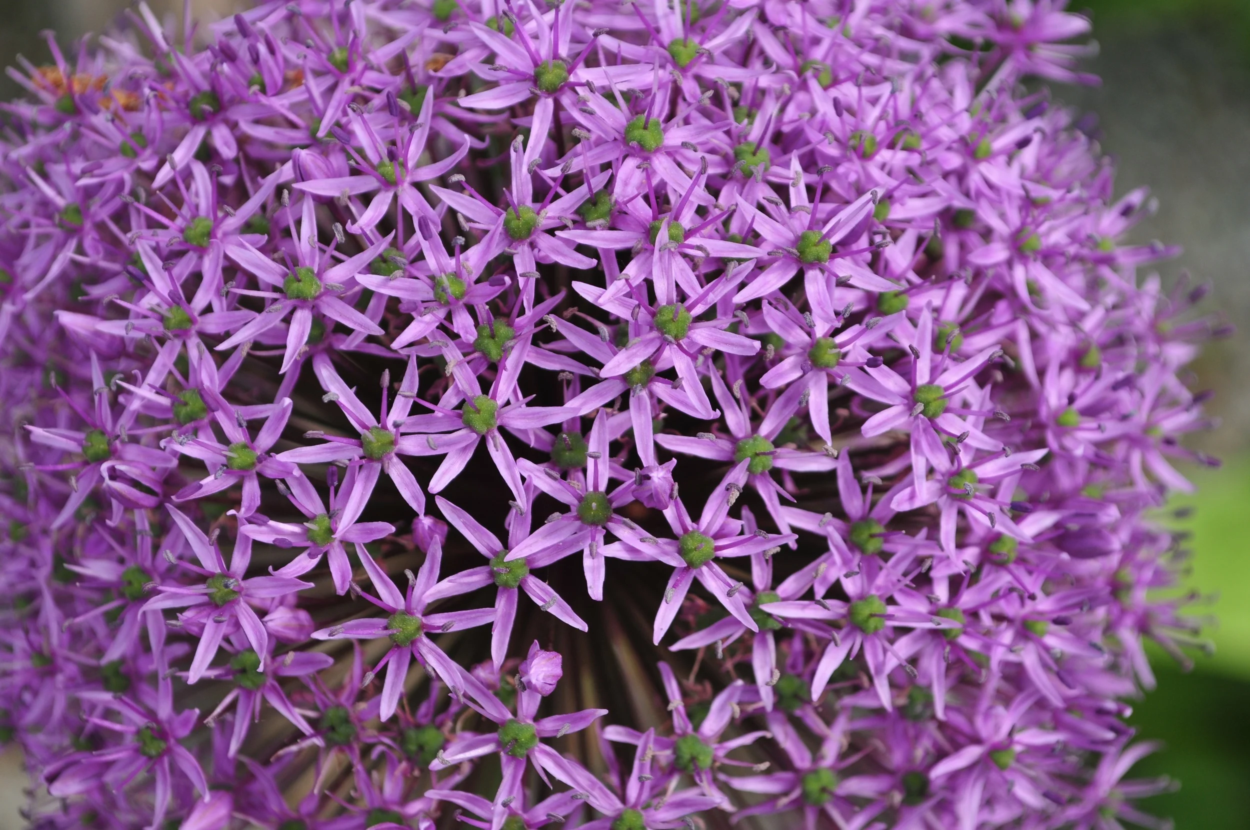 DSC_5147.jpg