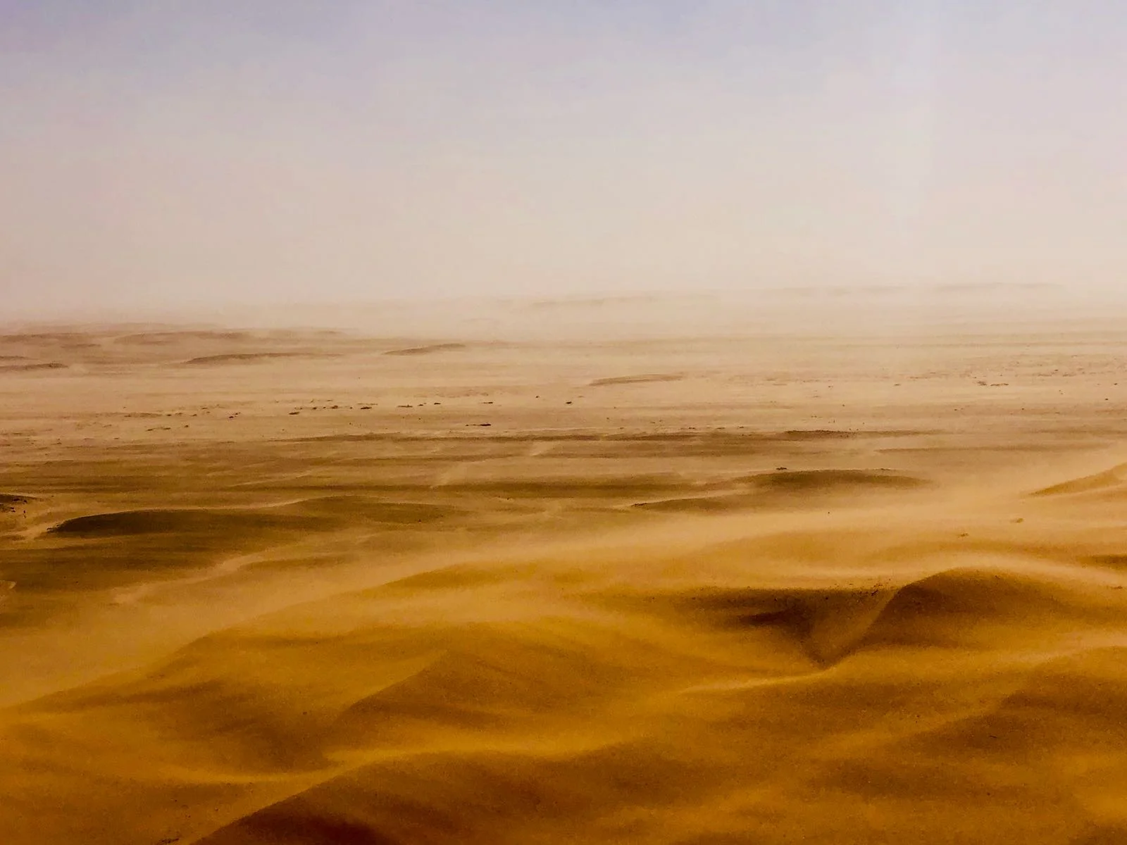 WhatsApp Image 2018-10-29 at 21.07.39 (1).jpeg