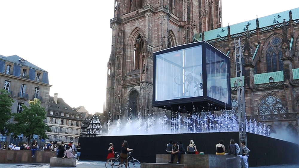 Cinemagraph-plus-grand.gif