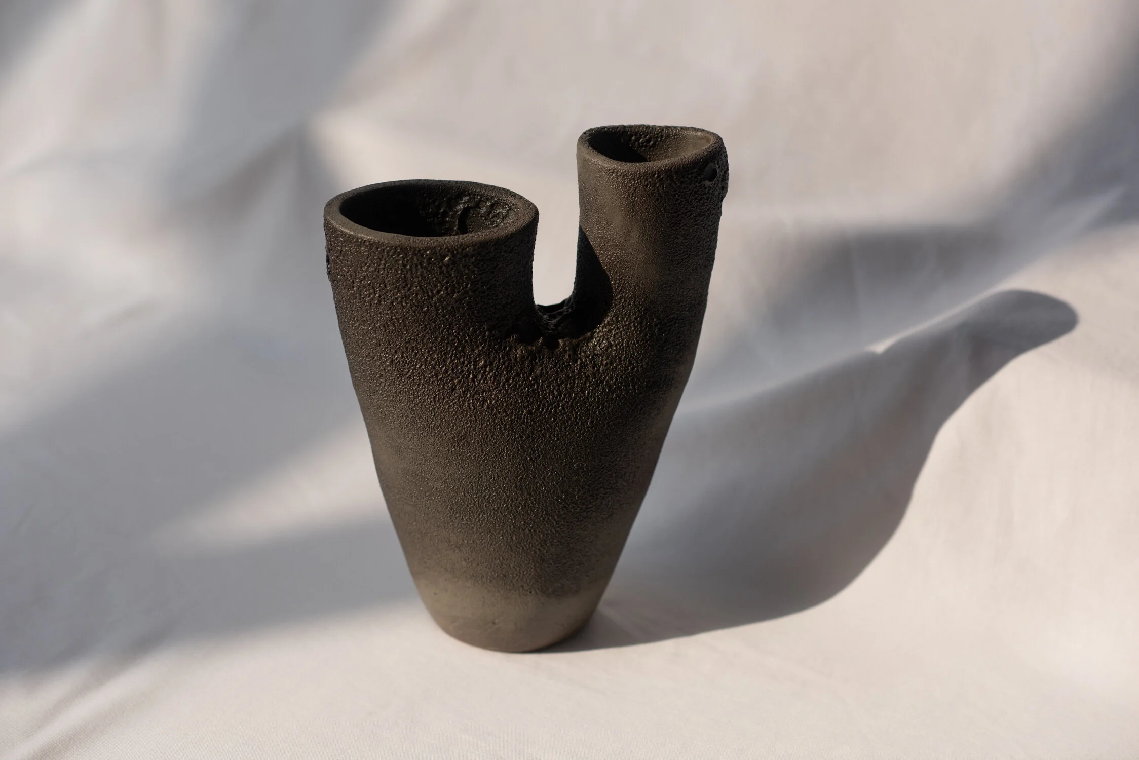 Acacia Vessel ° 1