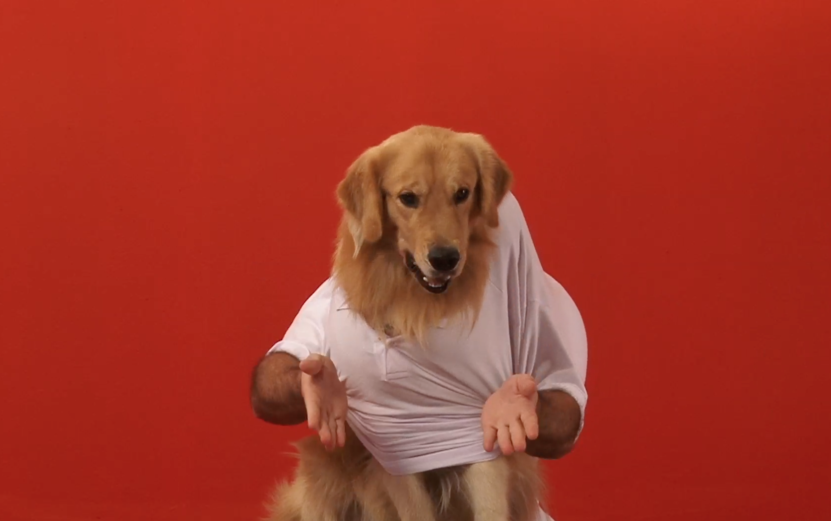 Captura de Tela 2014-04-28 às 13.25.37.png