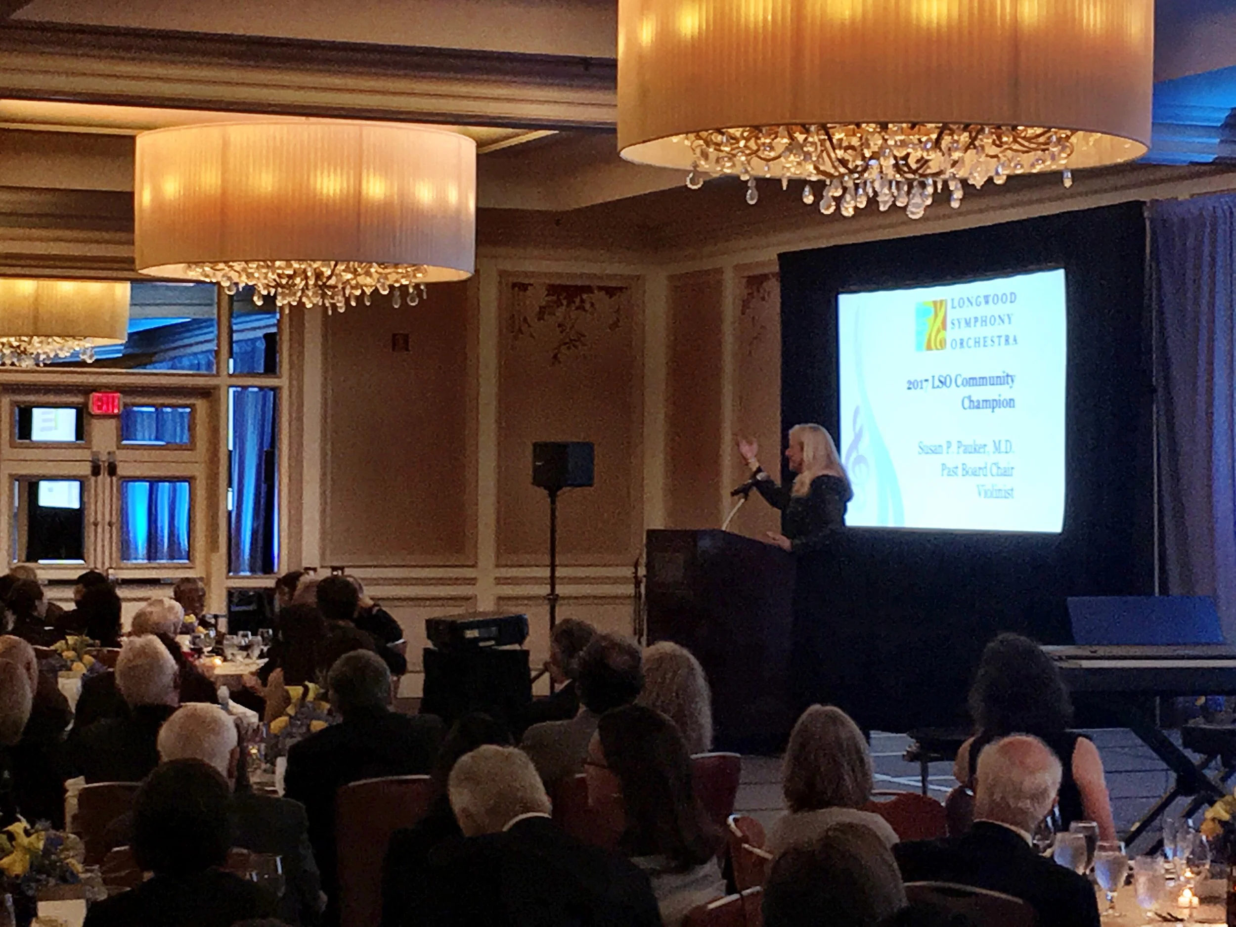 LSO Annual Gala: Celebrating the Healing Art of Music!