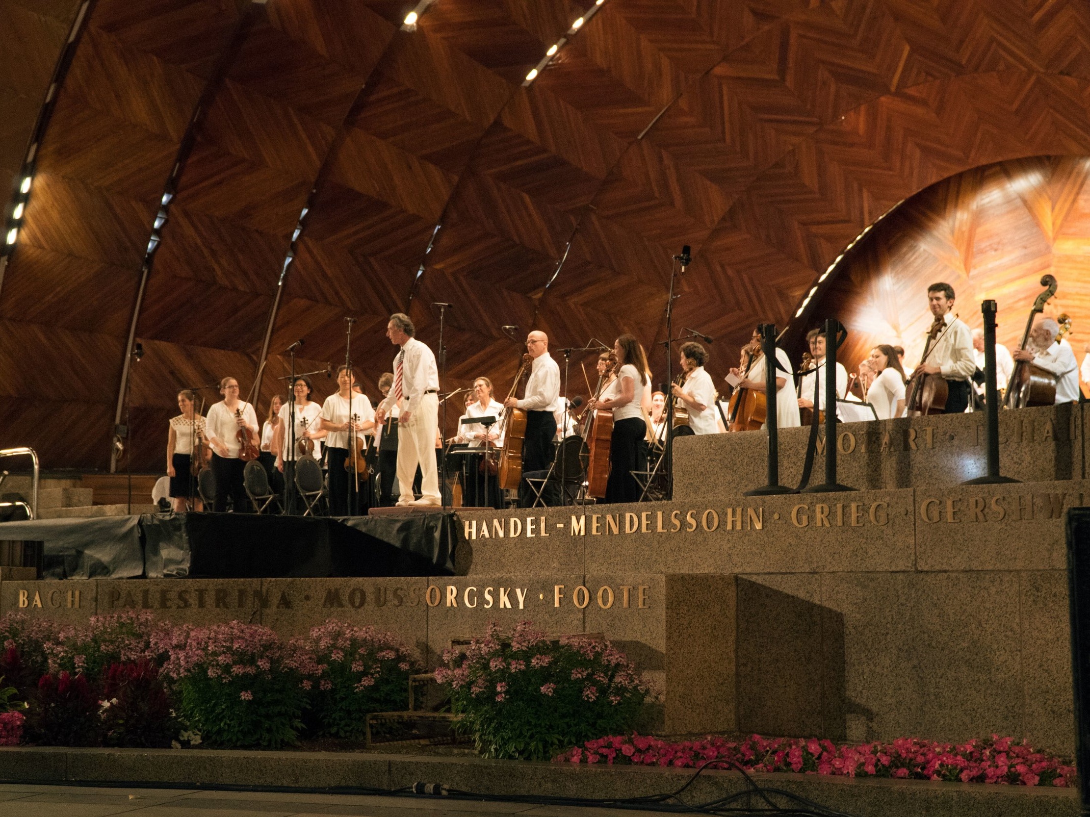 hatchshell.jpg