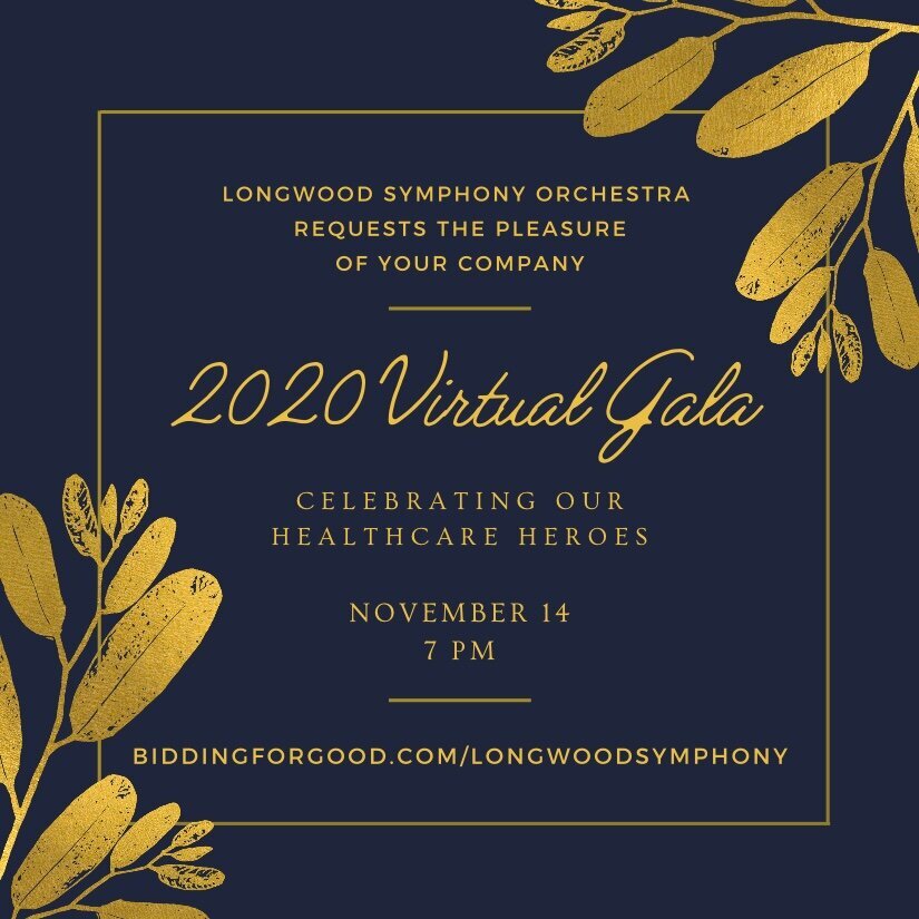 Virtual Gala: Celebrating Our Healthcare Heroes