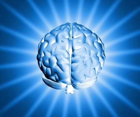 busy-brain.jpg