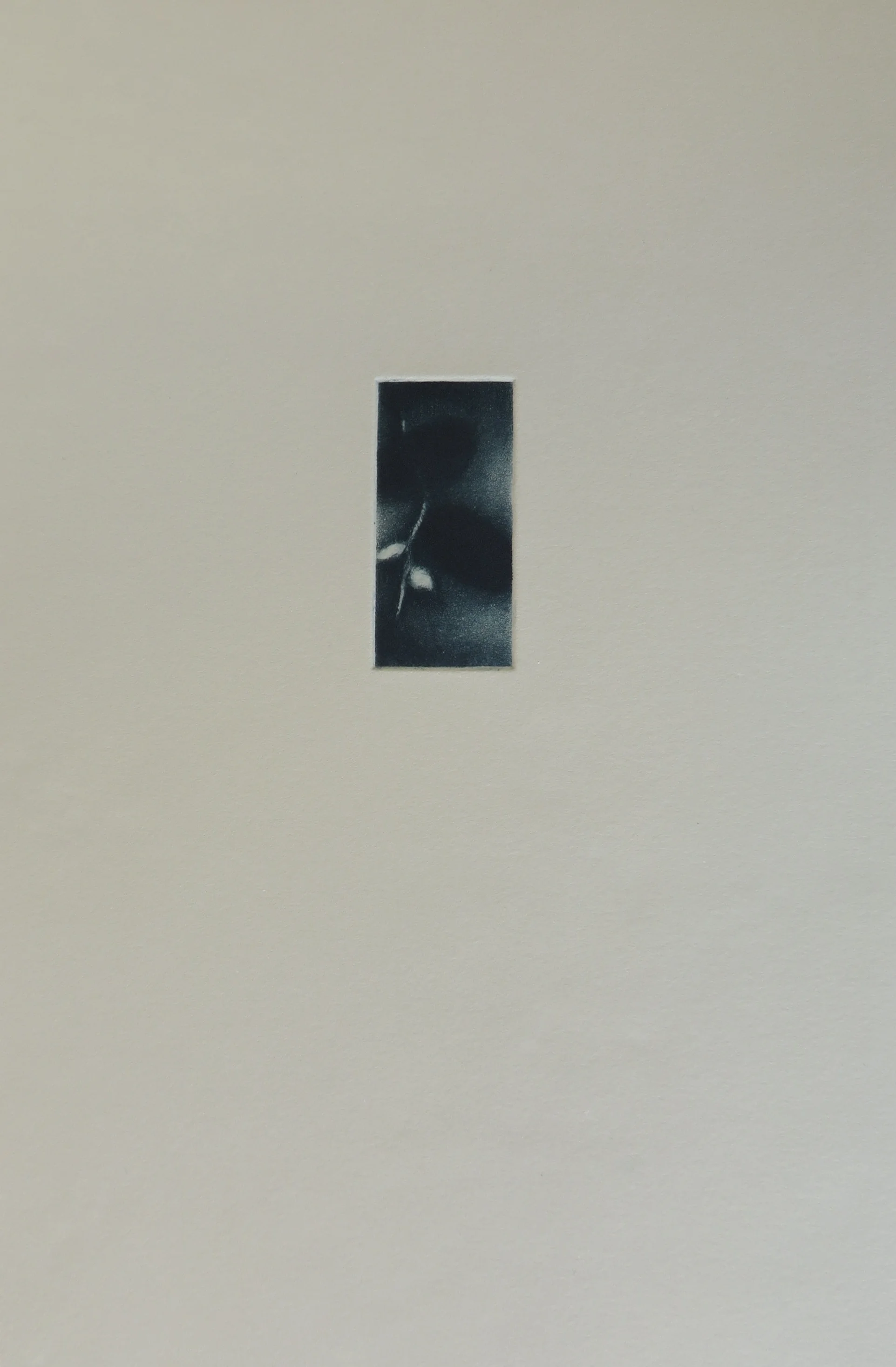 Luminescence (paper size)