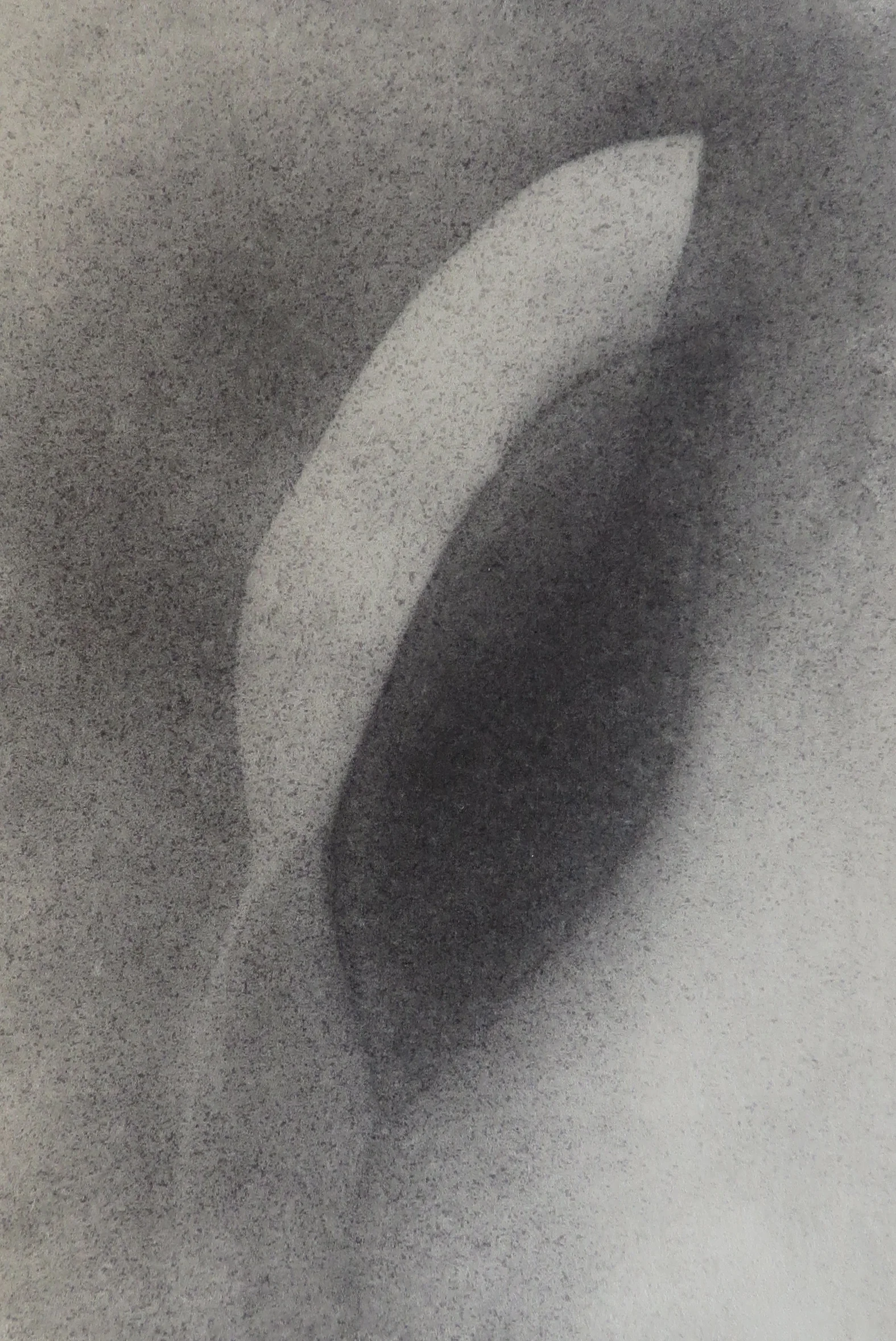 Characters I Graphite, 6 x 4 inches, 2016.