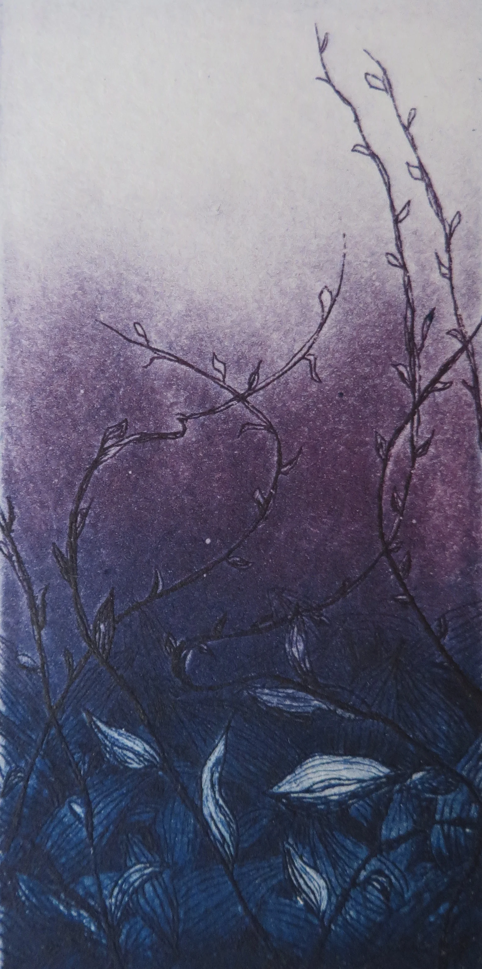 Reach Edition of 15. Etching, aquatint, drypoint, 4 x 2 inches, 12.25 x 7.5 paper size, 2014.