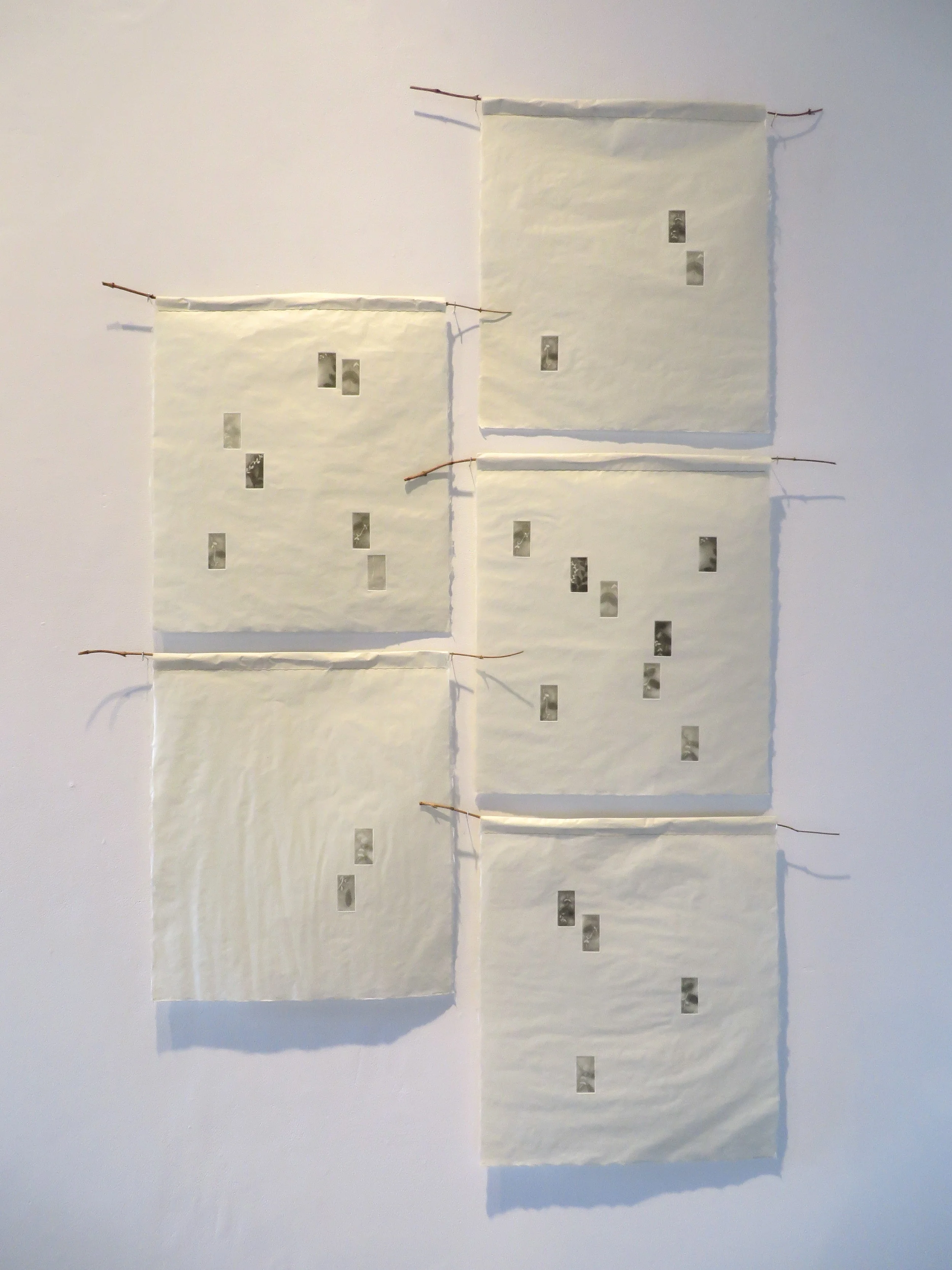 Flicker, Float, Linger, Palpitate & Shiver Intaglio on Kitakata, sewn over Mandevilla vine, 72 x 48 inches 2015.