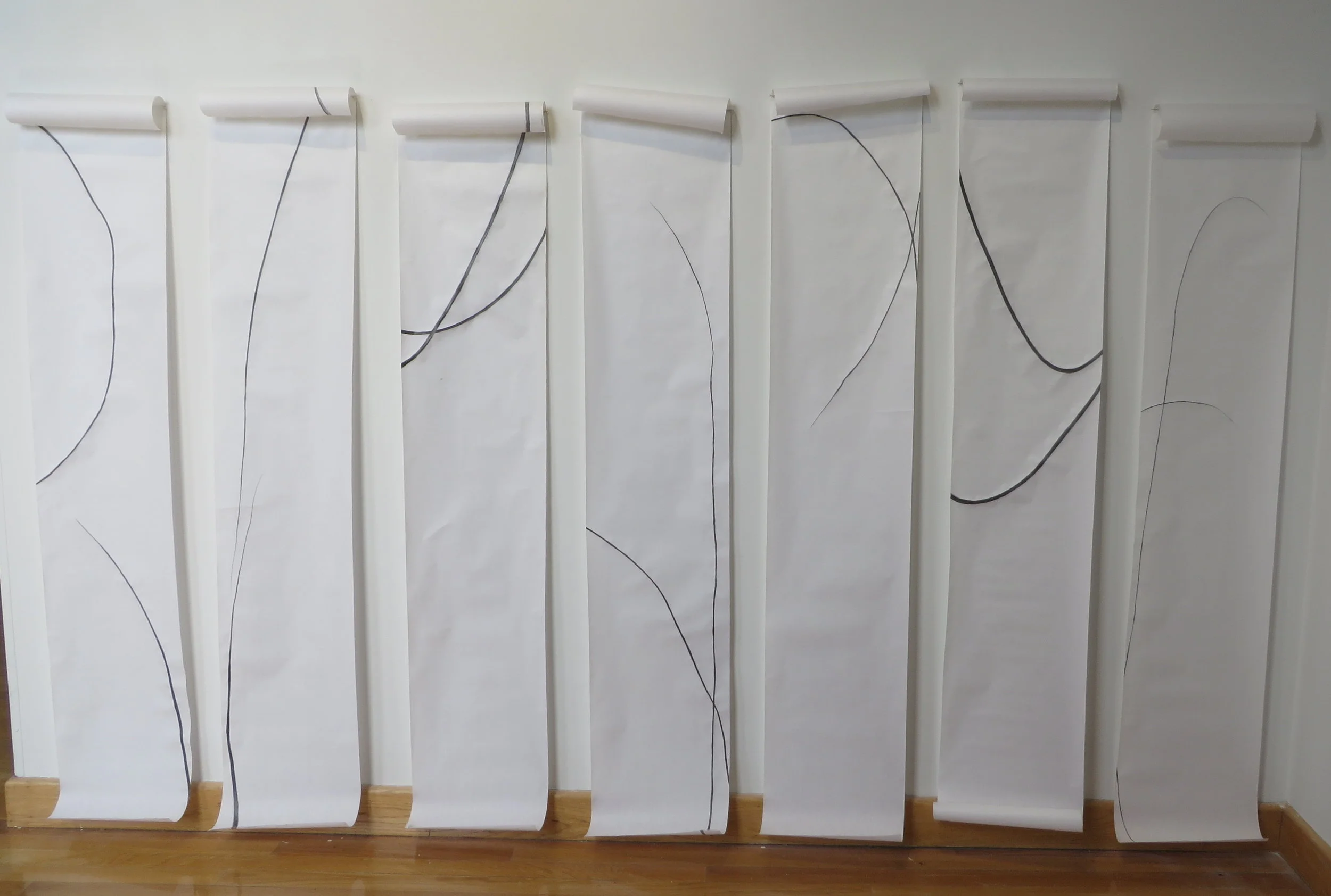 Jenni Installation, 75 x 60 inches, 2017