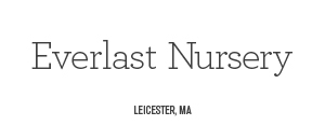 Everlast Nursery, Leicester, MA