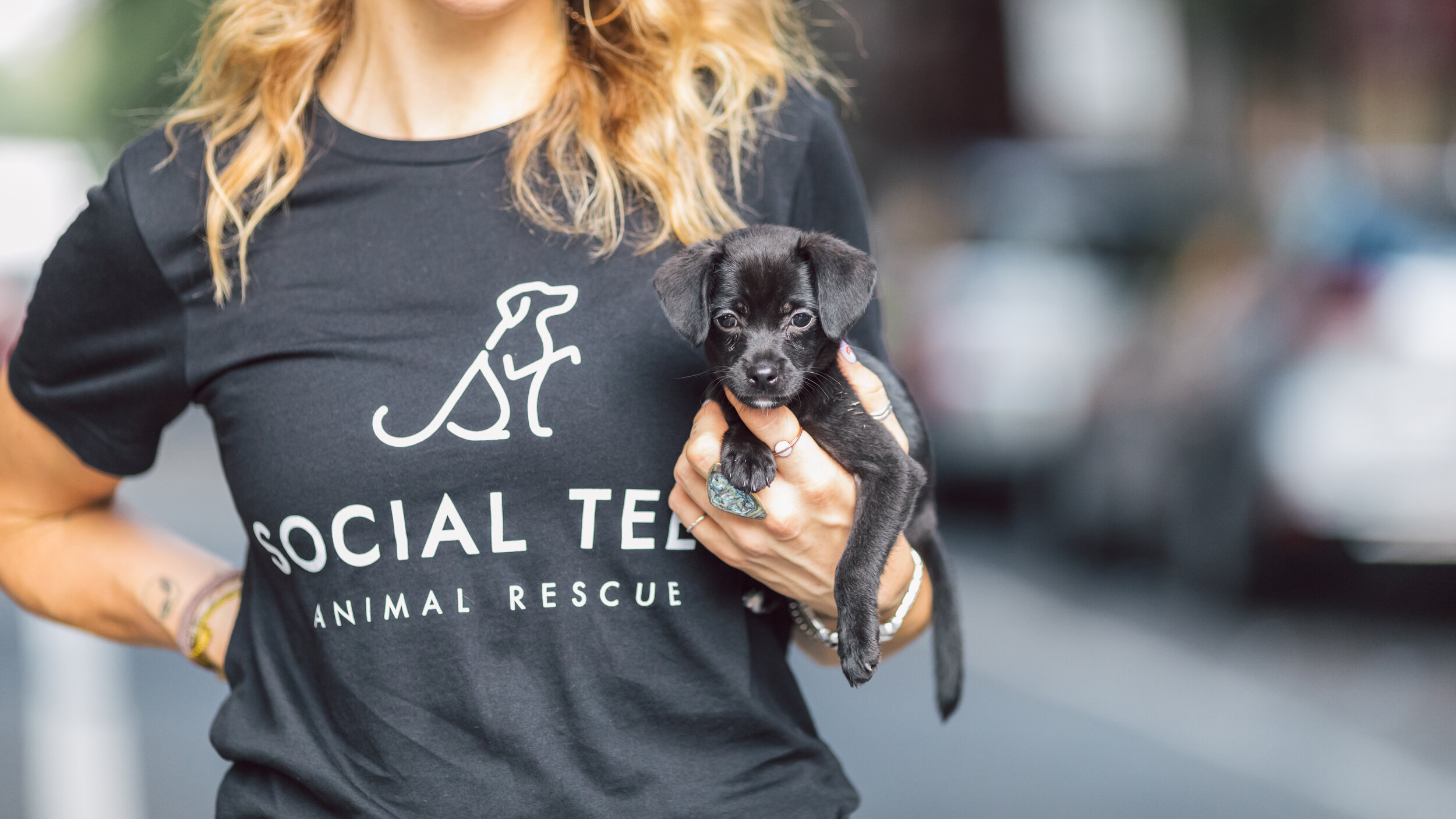Social Tees Animal Rescue