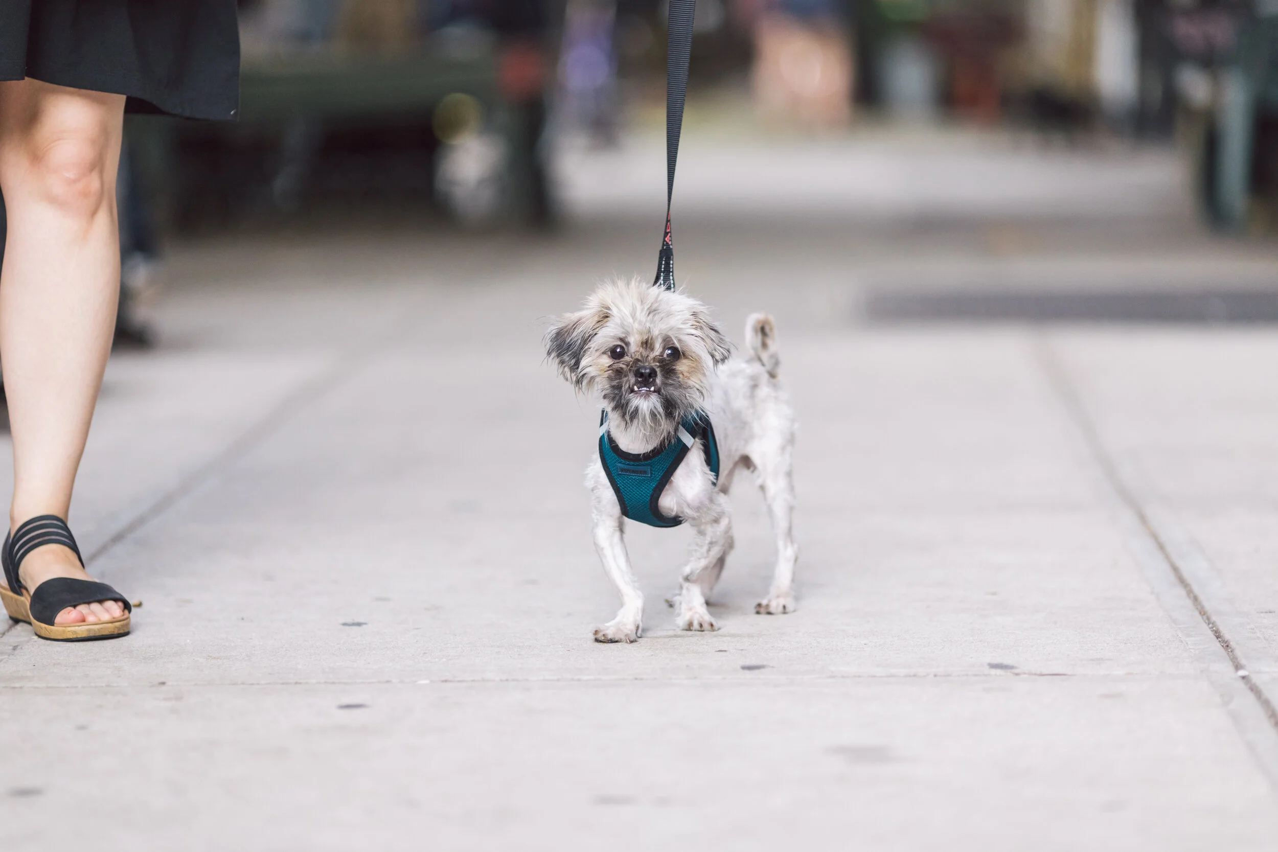 SocialTees Proofs-61.JPG