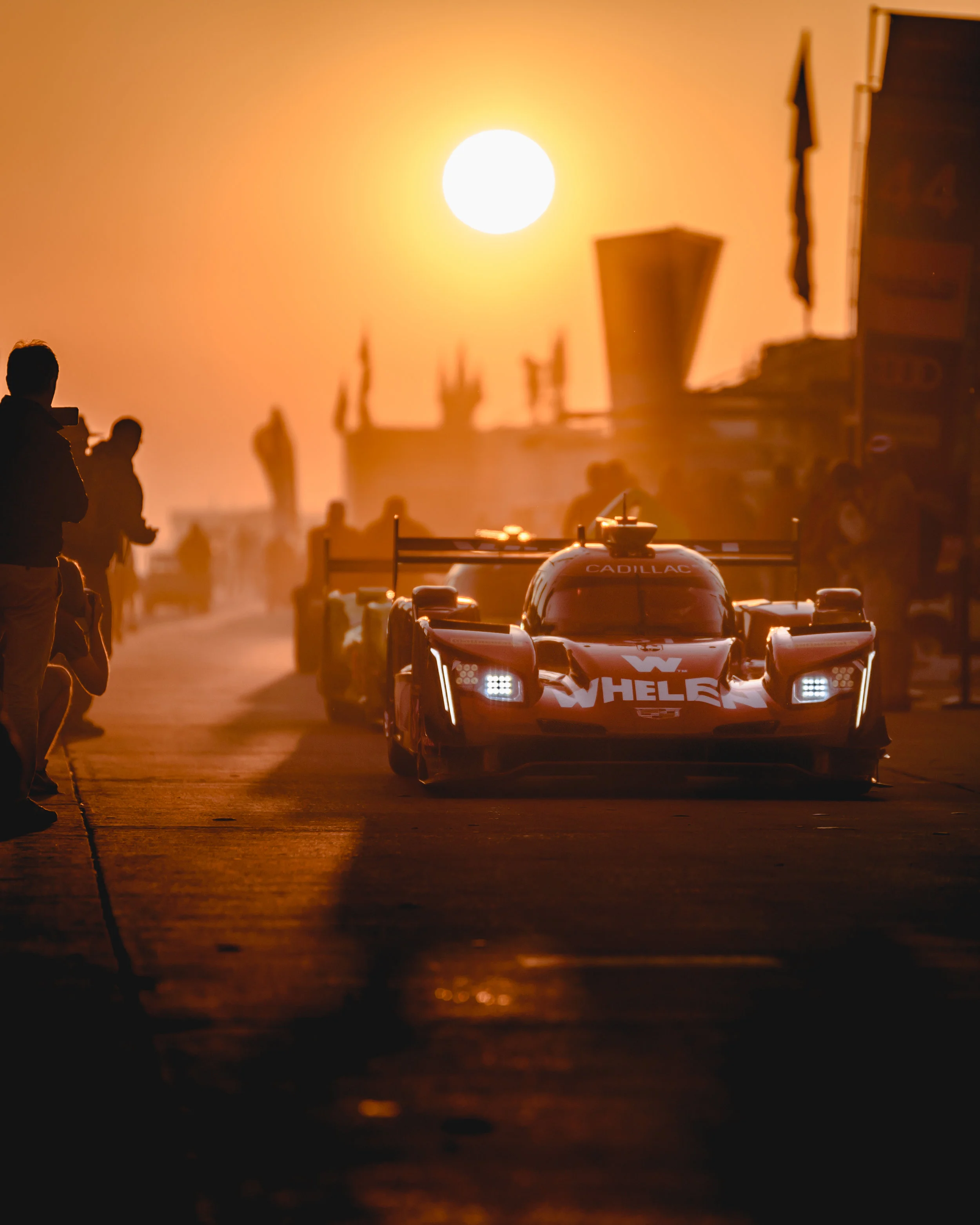 D75_2230-1.jpg