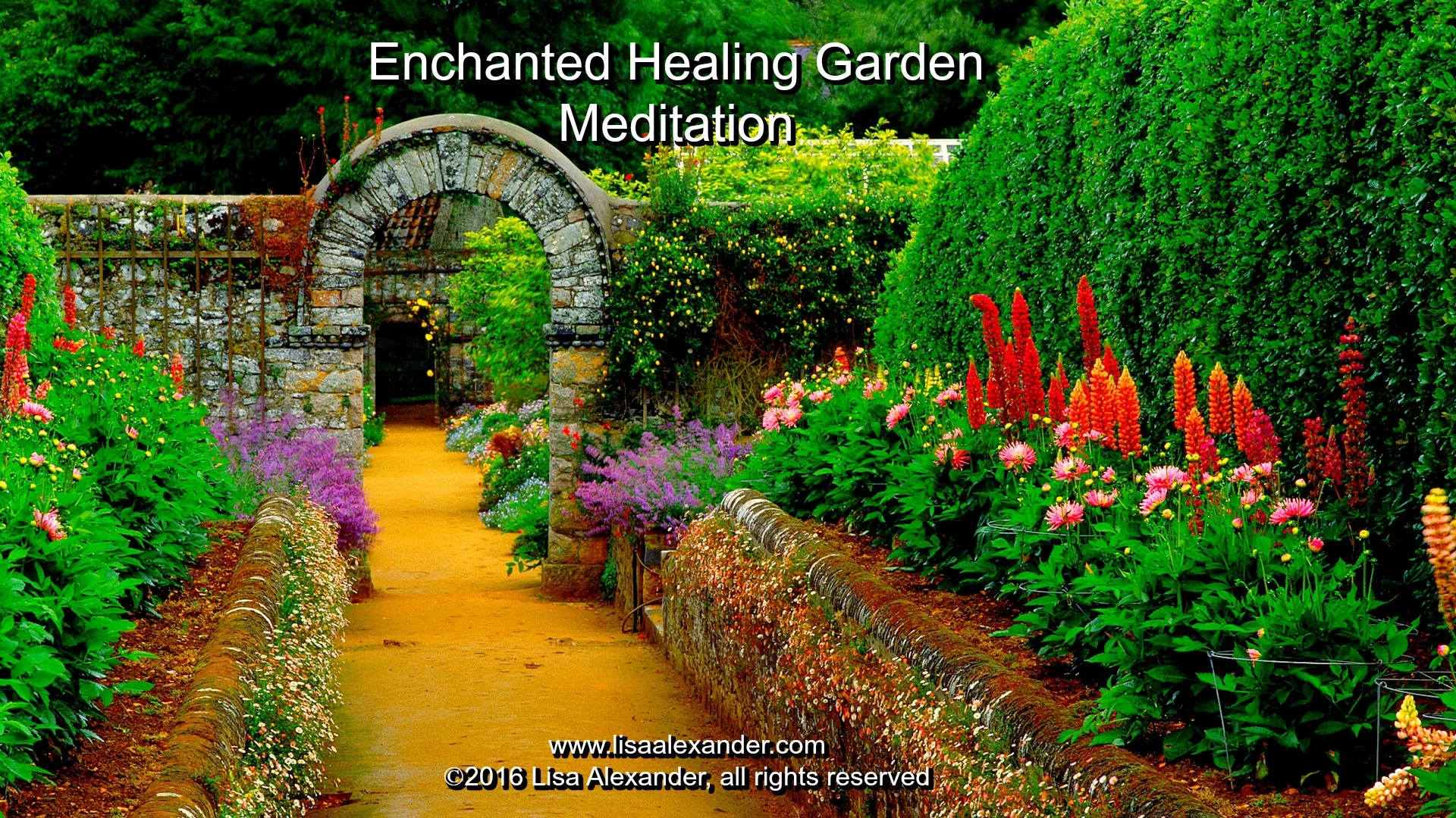 Enchanted-Garden.jpg