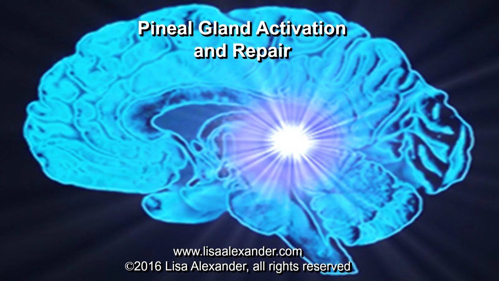 Pineal-Gland.jpg