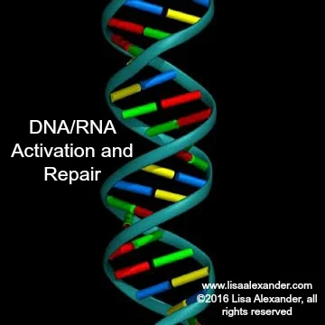 DNA-RNA.jpg