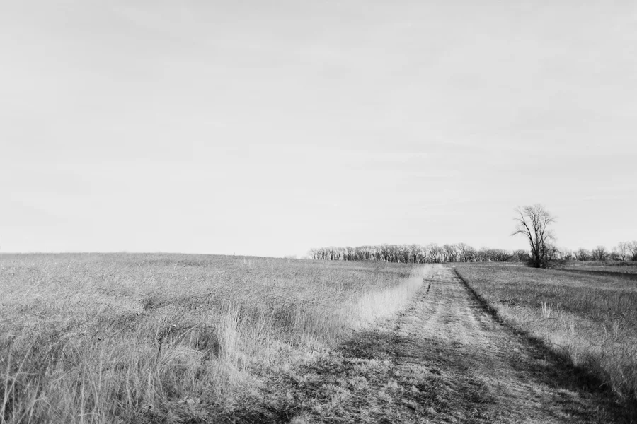 Valley Forge PA Maternity Photographer-1.jpg