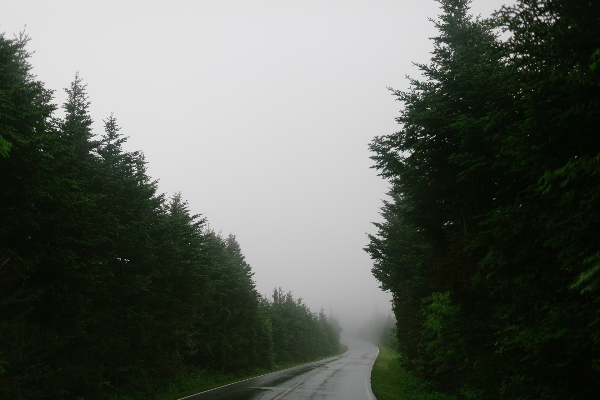 Foggy Mountain Road - Of Fate and Chaos - North Carolina Wedding Photographer