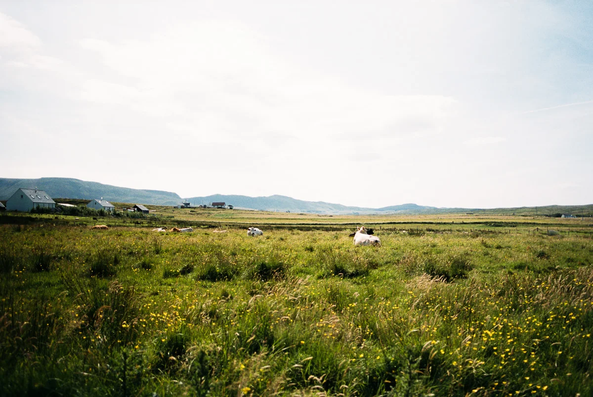 Scotland-Trip-Day3-5-50.jpg