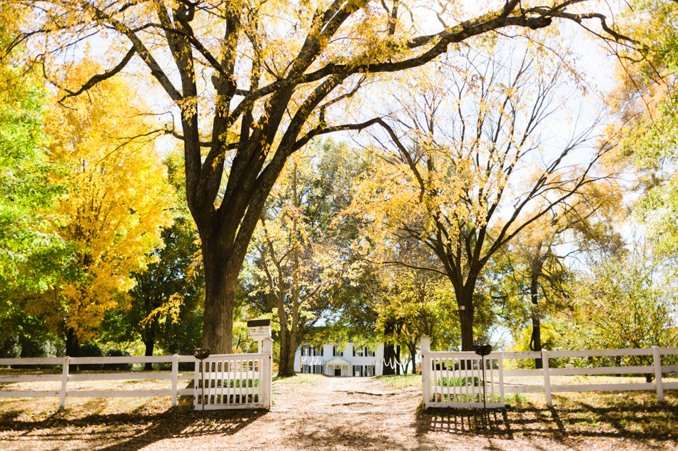 tuckahoe-plantation-wedding-1.jpg