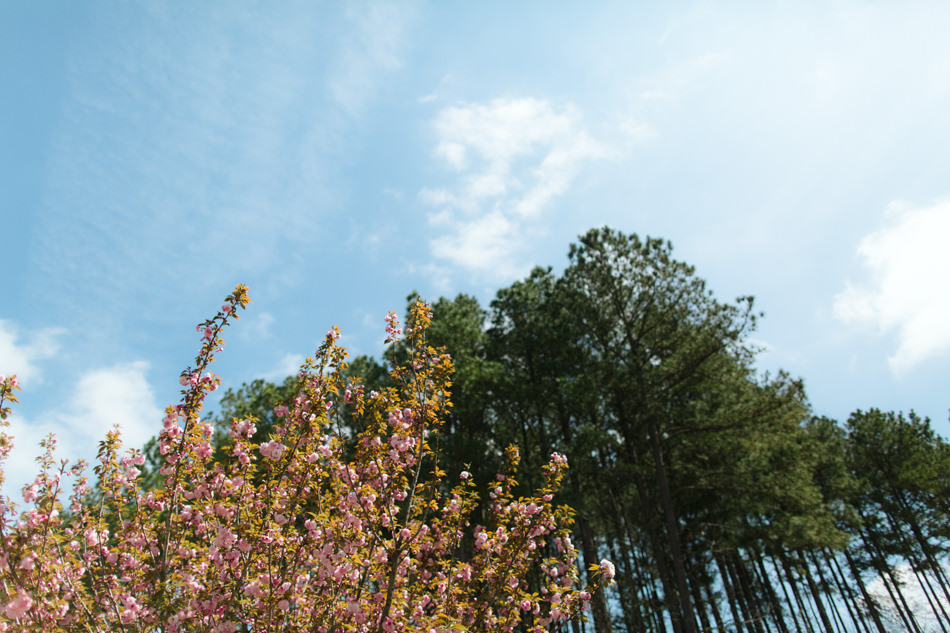 National-Whitewater-Center-Wedding-1.jpg