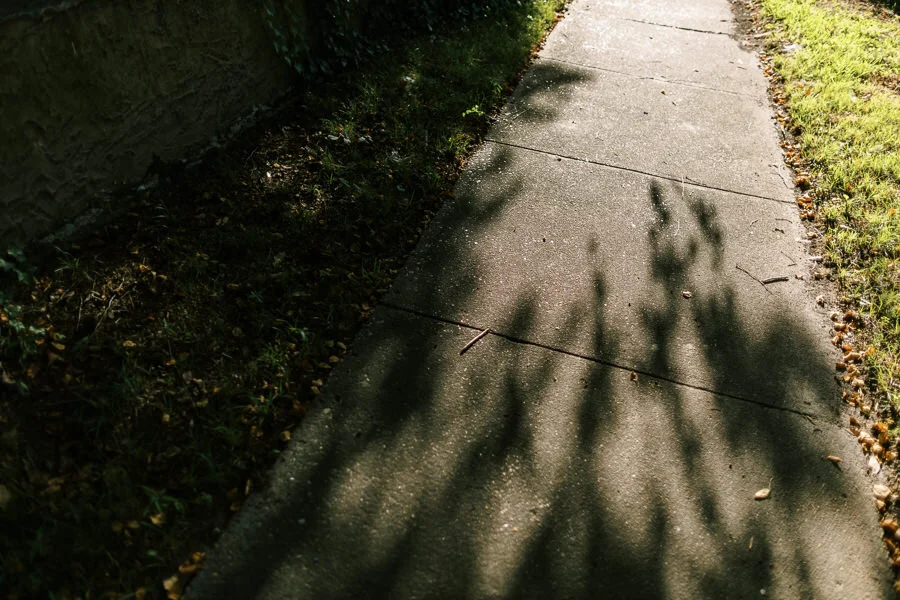 Personal_2019-18.jpg