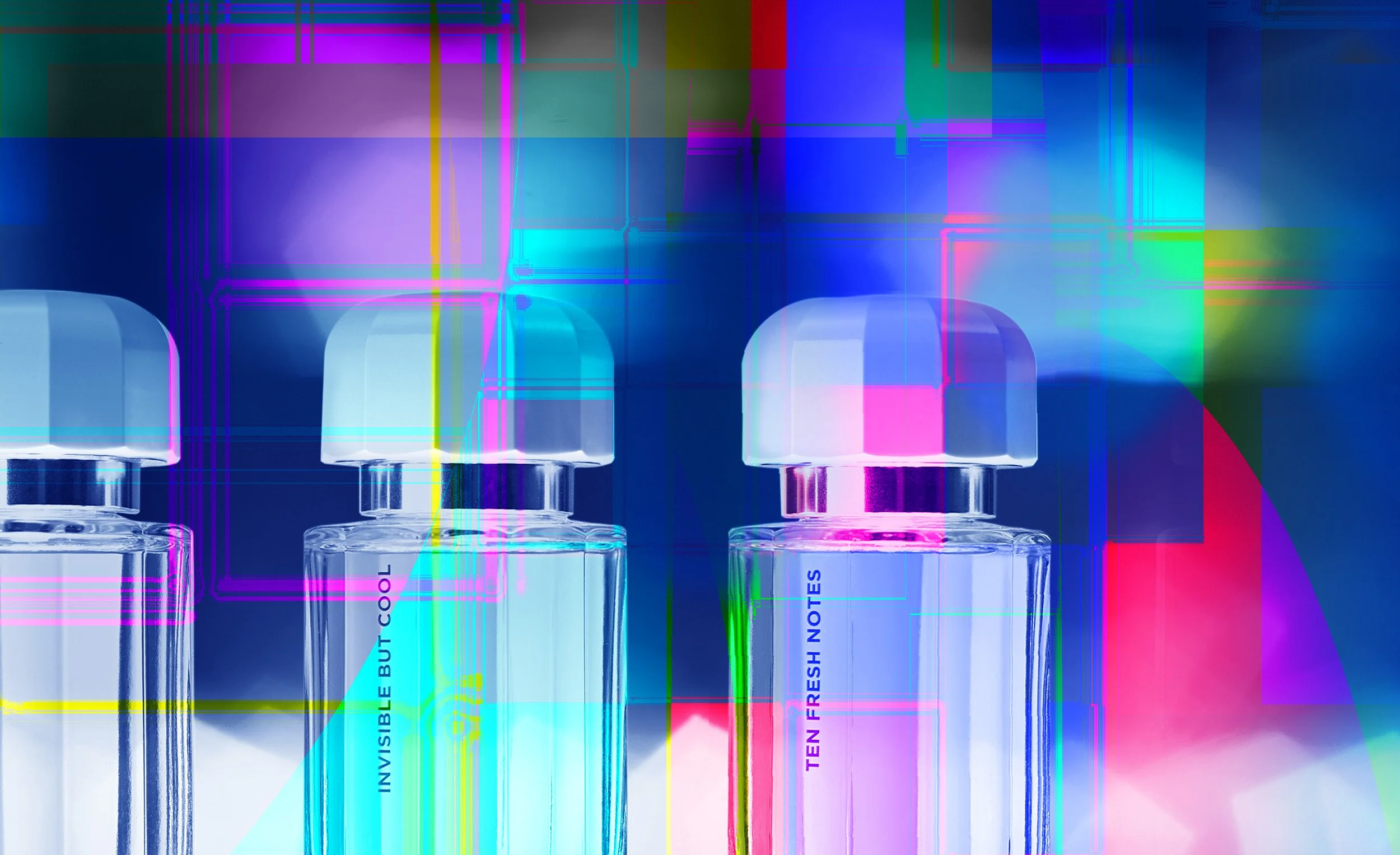 portada web recorte.jpg