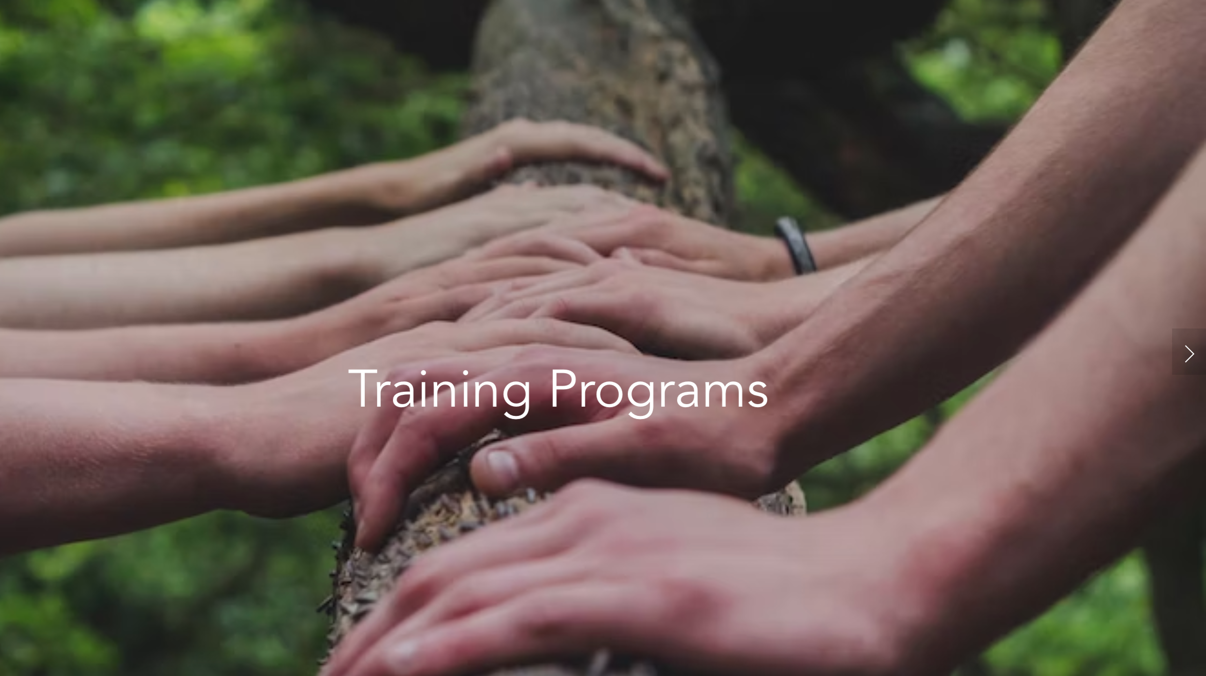 TRAINING_PROGRAMS_CAPTION.png