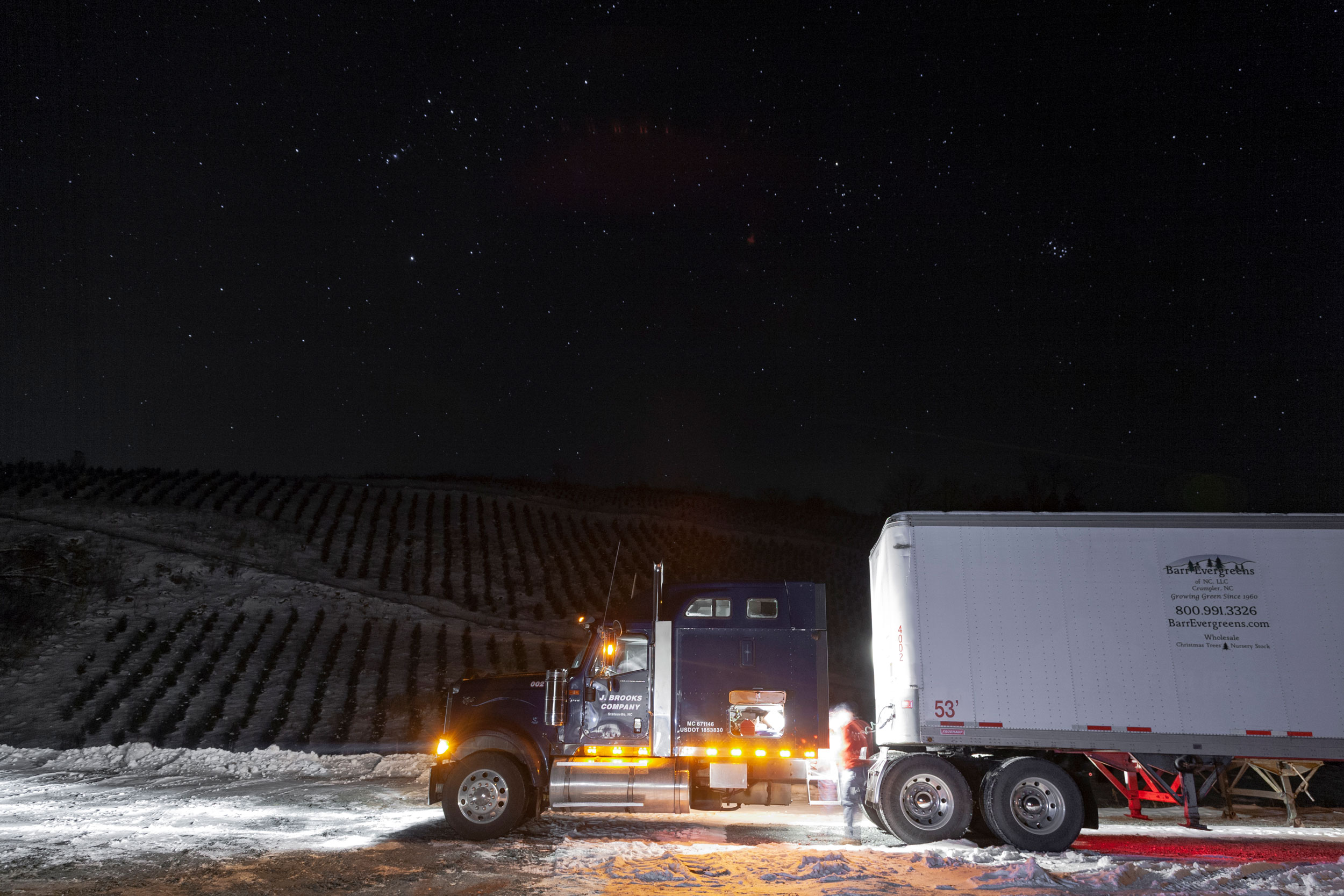 Journey of an Xmas Tree for The Washington Post Magazine