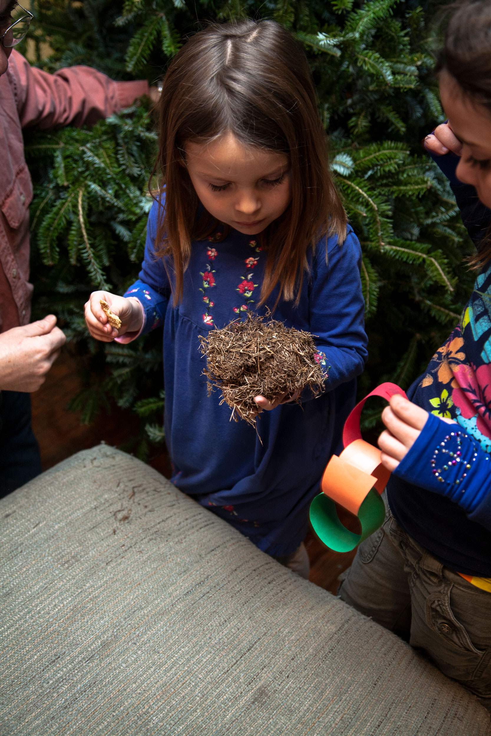 Journey of an Xmas Tree for The Washington Post Magazine