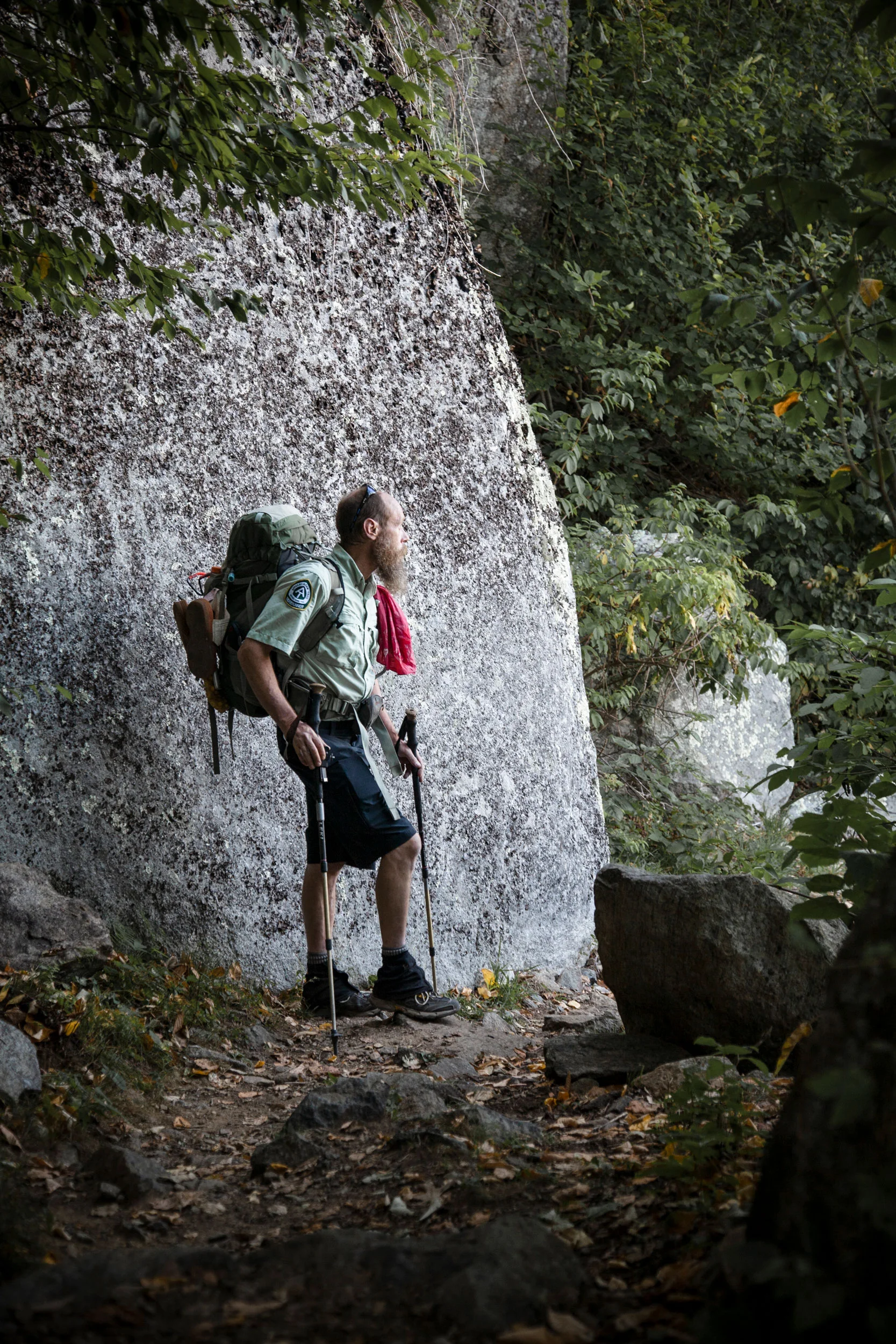 Lost in the Woods for the Washington Post Magazine