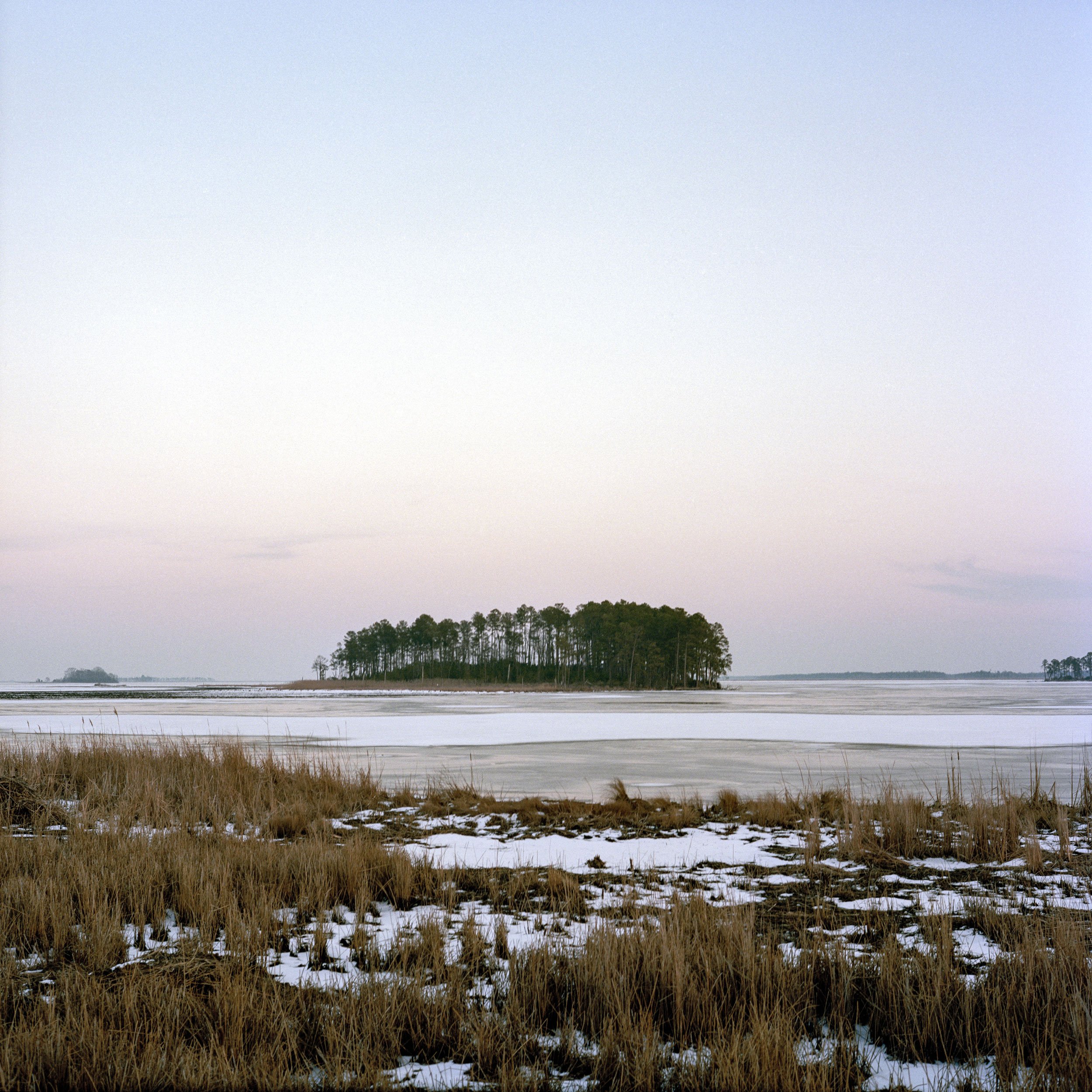 Spriggs Island in the Blackwater Wildlife Refuge