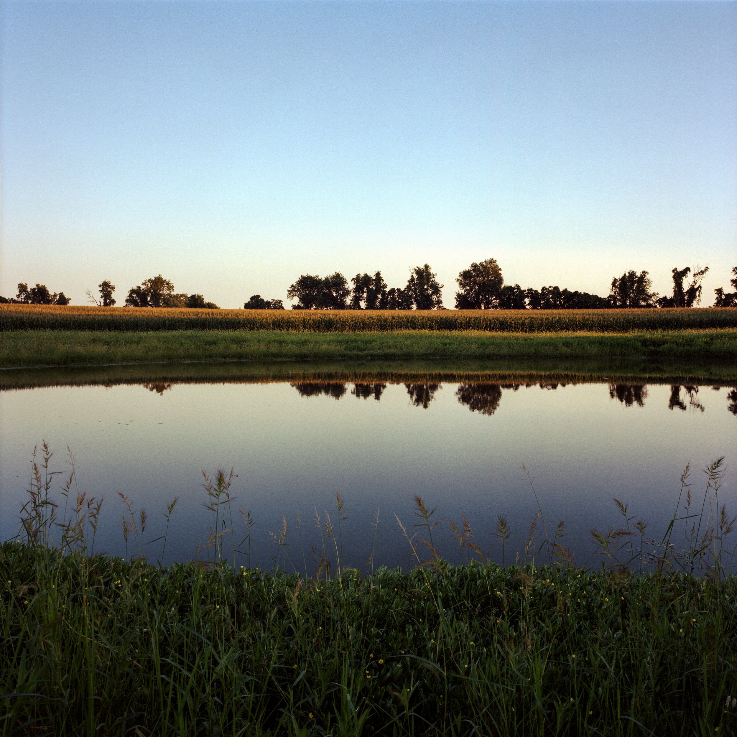 The pond at dusk