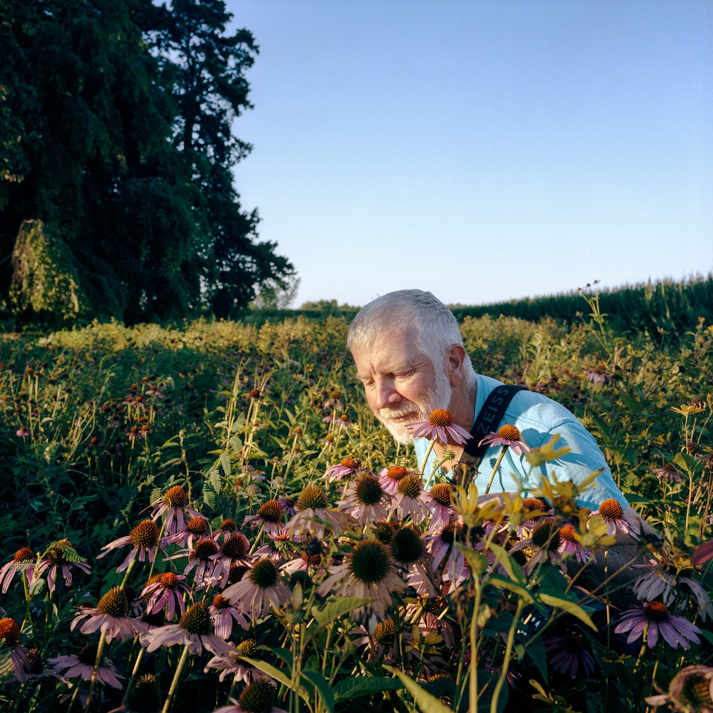 Jon watches a bee in the front yard buffer field