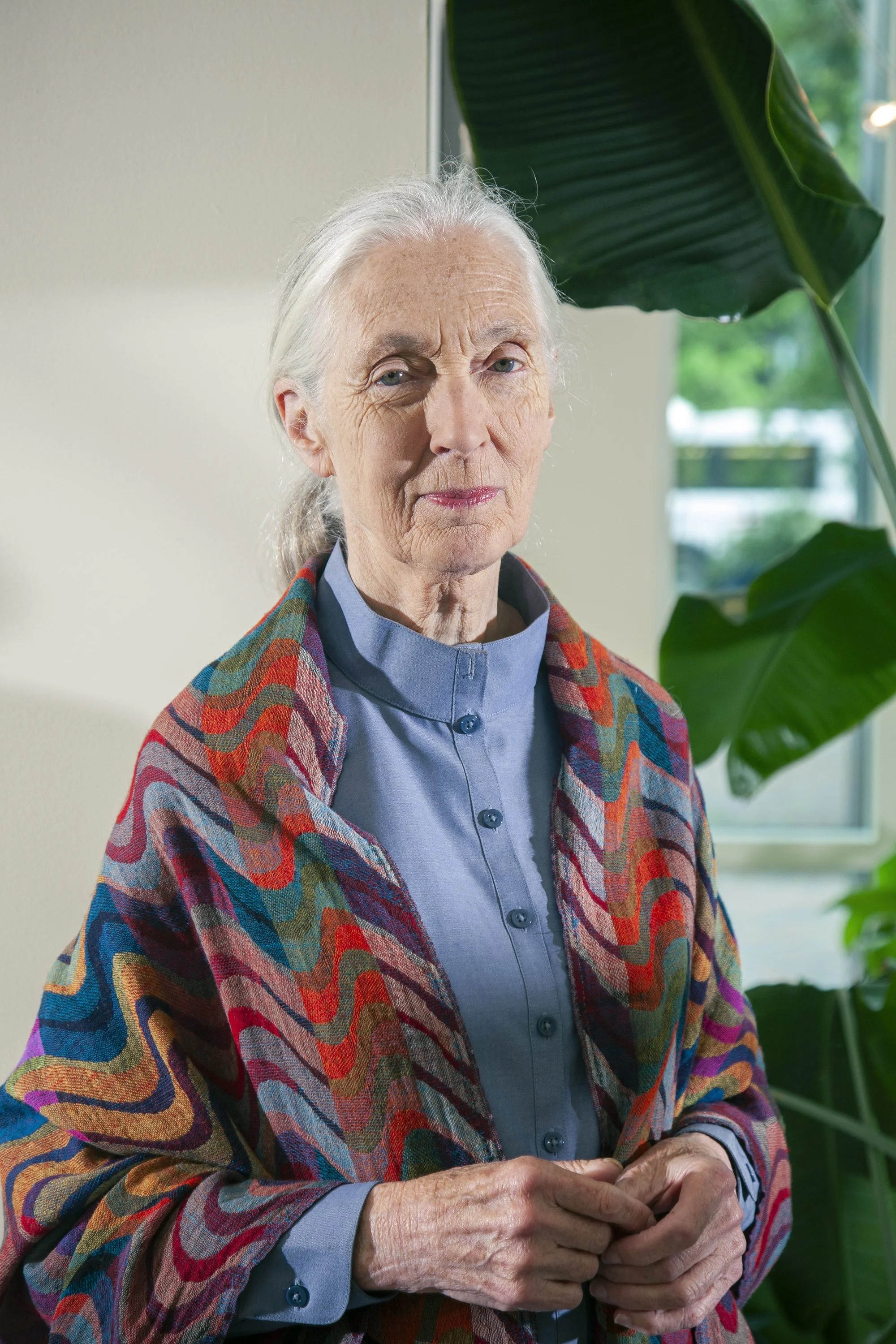 Jane Goodall 