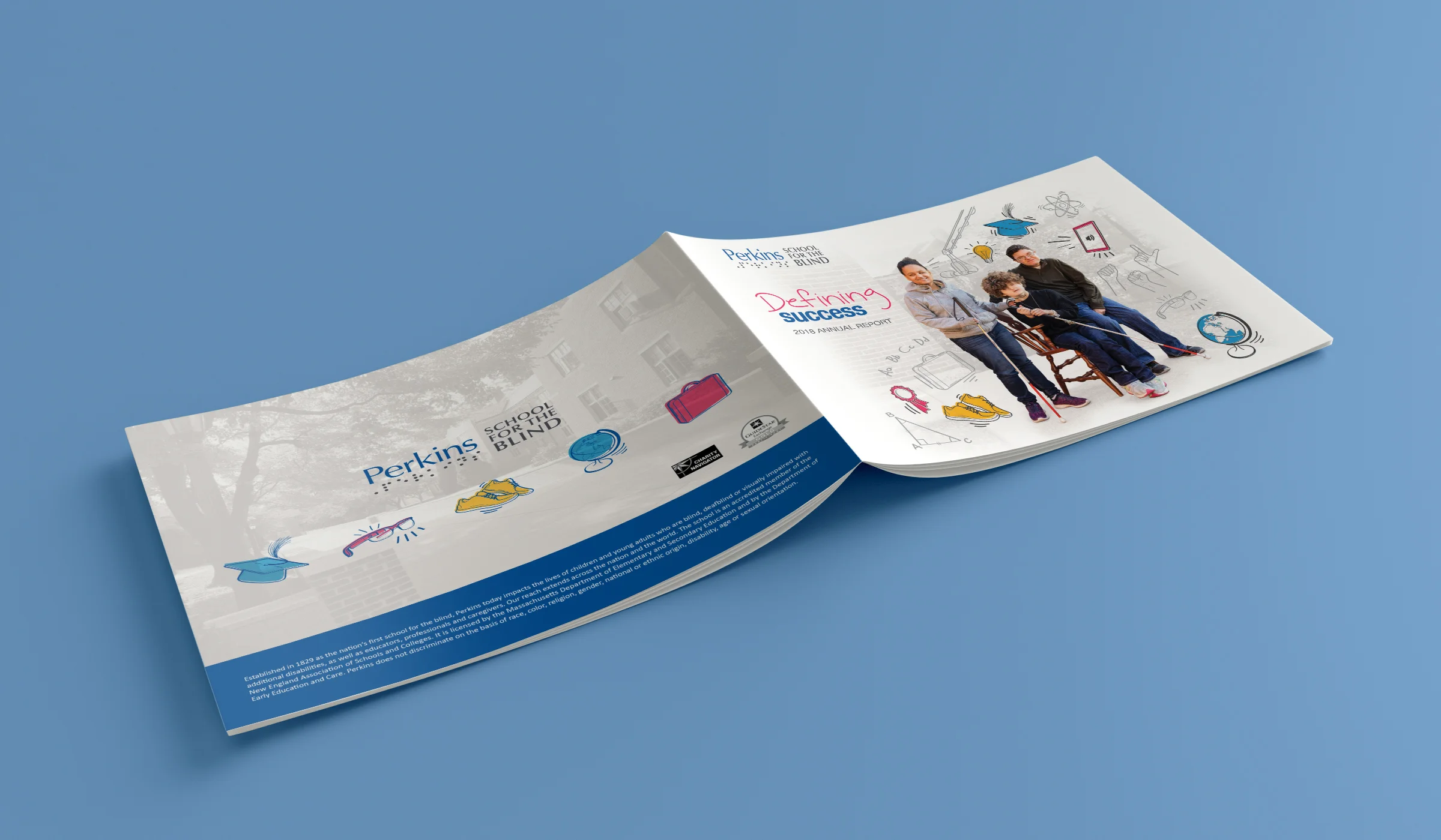 Annual_Report_Mockup_Covers.jpg