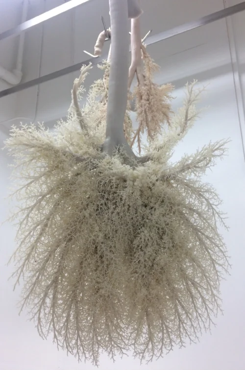 From the installation by A. Williams Wynn, 2017, Resin corrosion casts