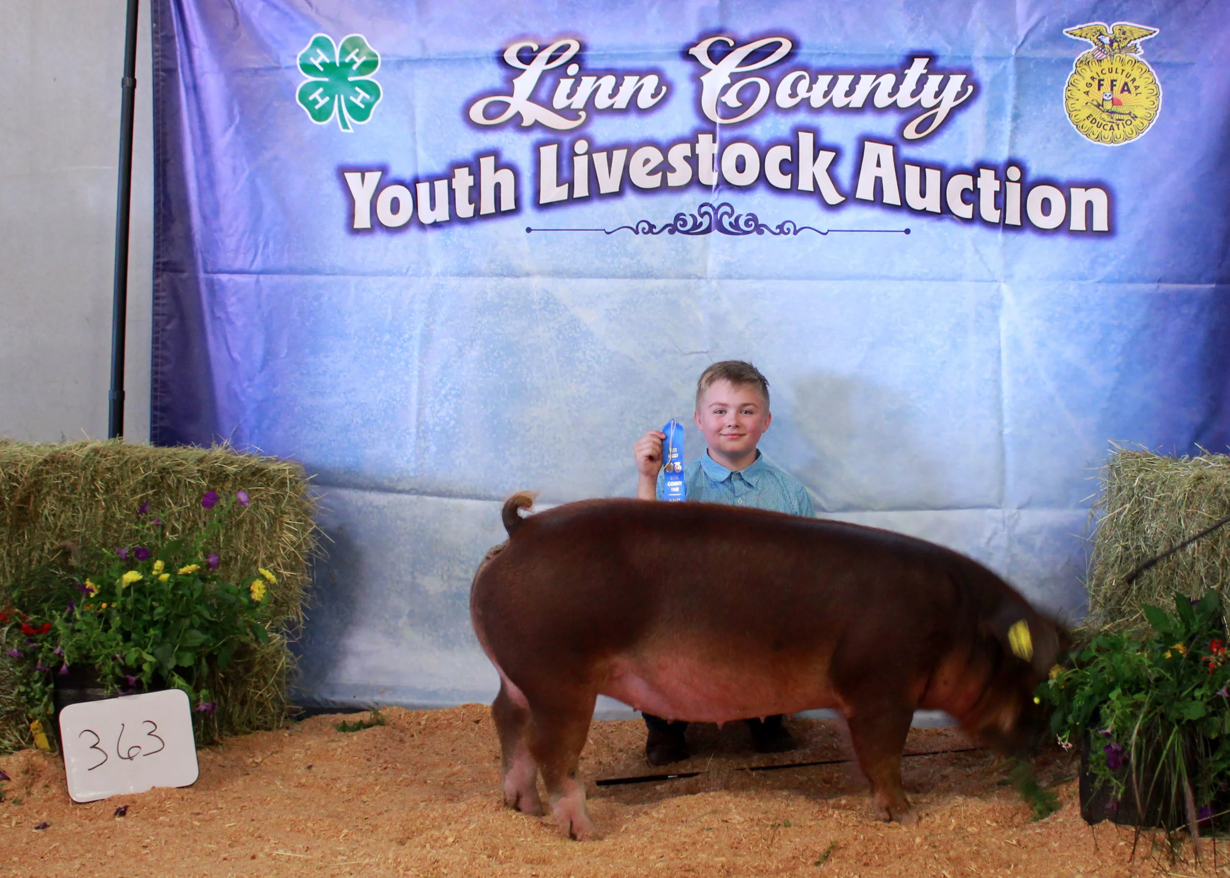 363.jpg