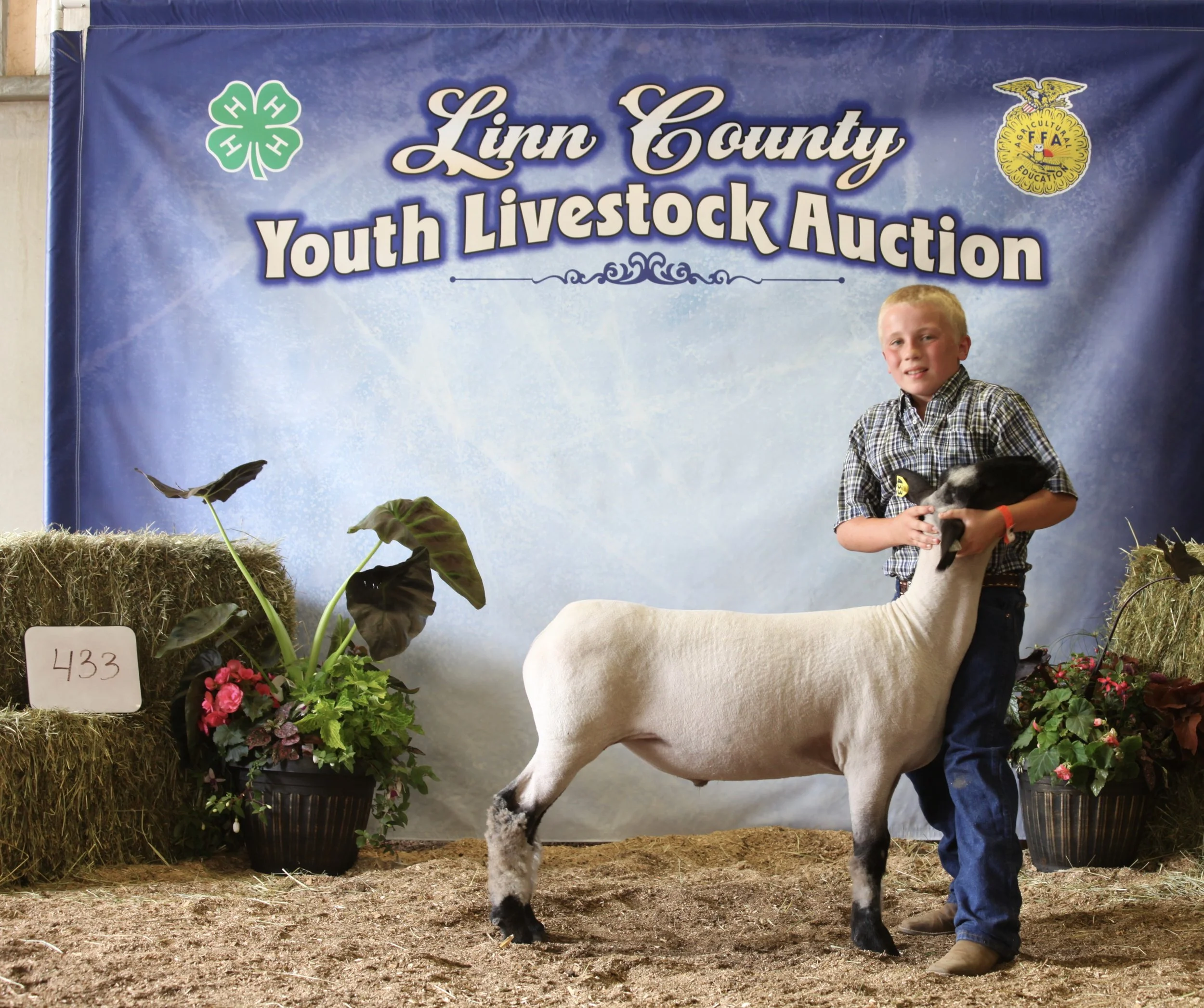 Copy of IMG_4262.jpg