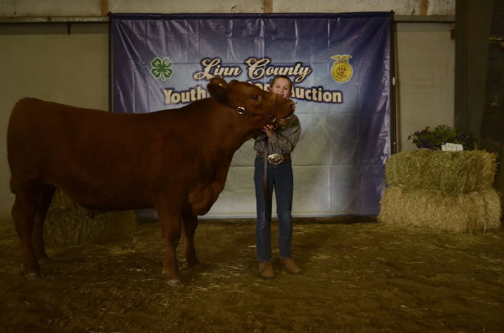 _DSC6437.JPG