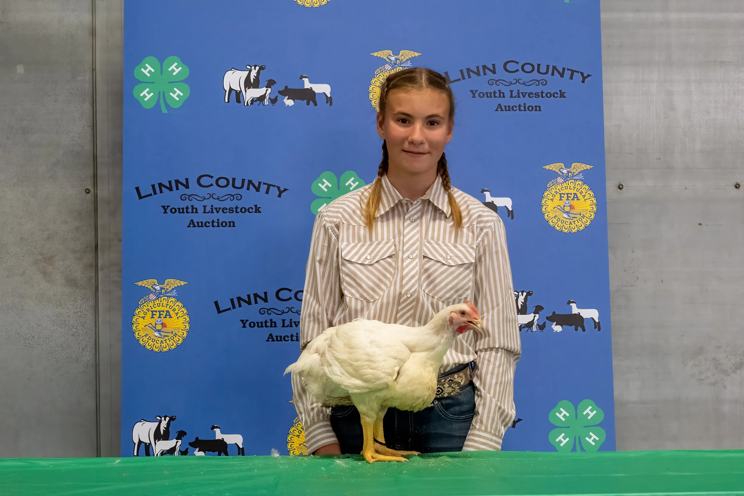 Poultry 1249 (7813).jpg