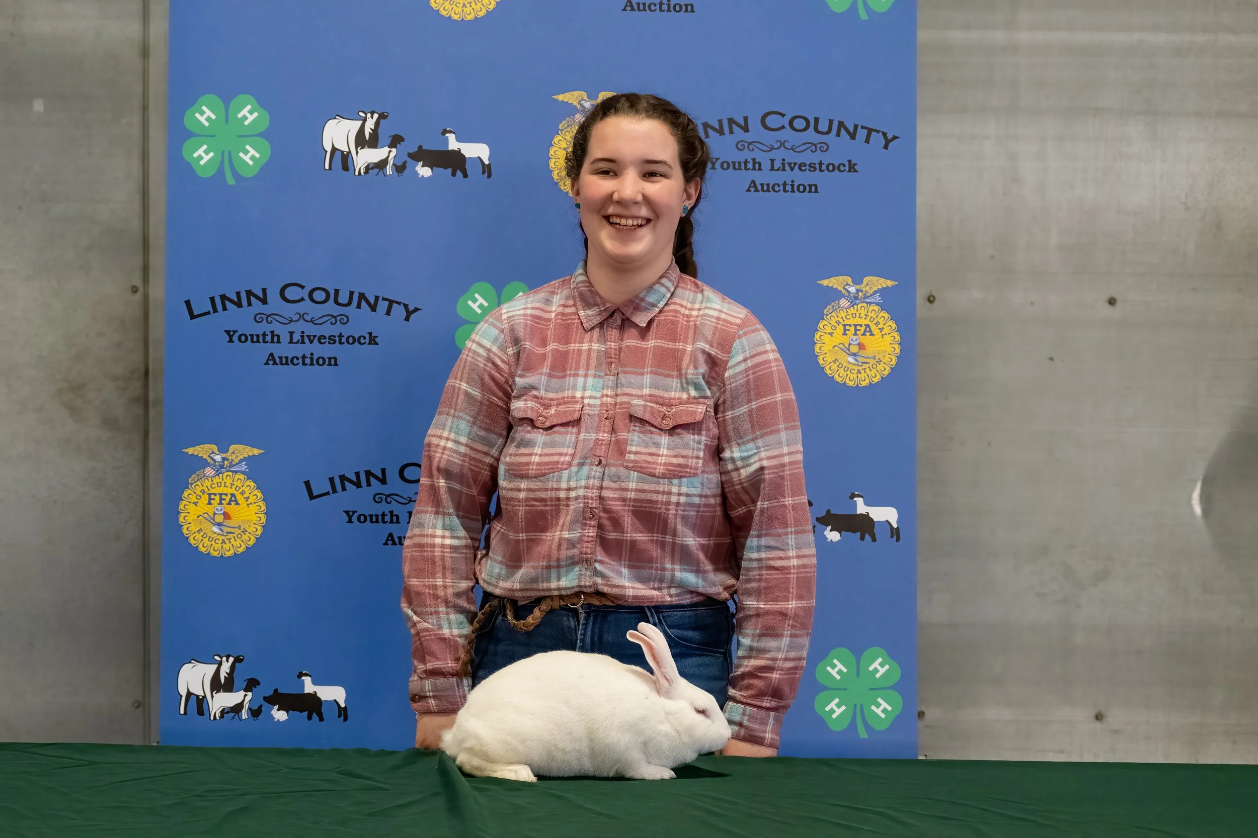 Rabbit 558 (0496).jpg