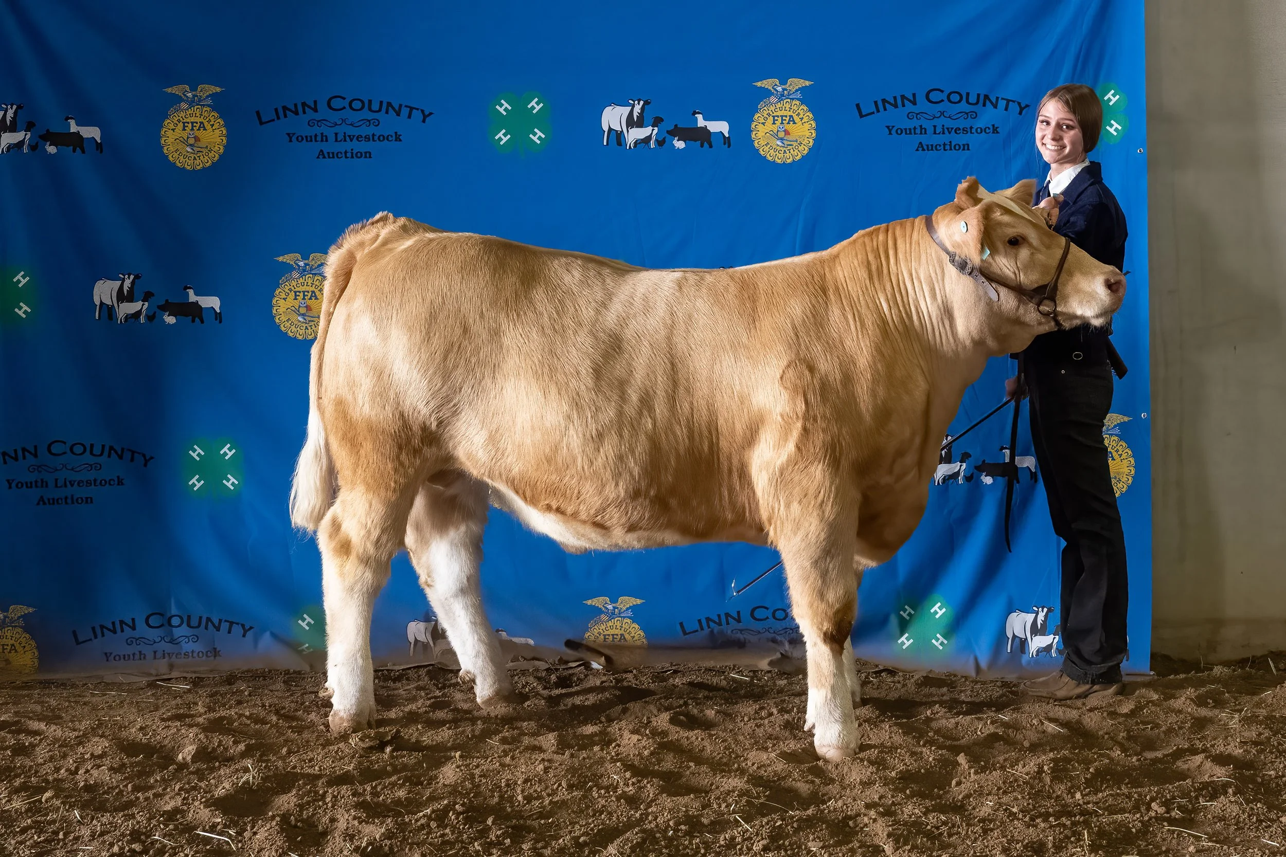 Beef 01 (8417).jpg