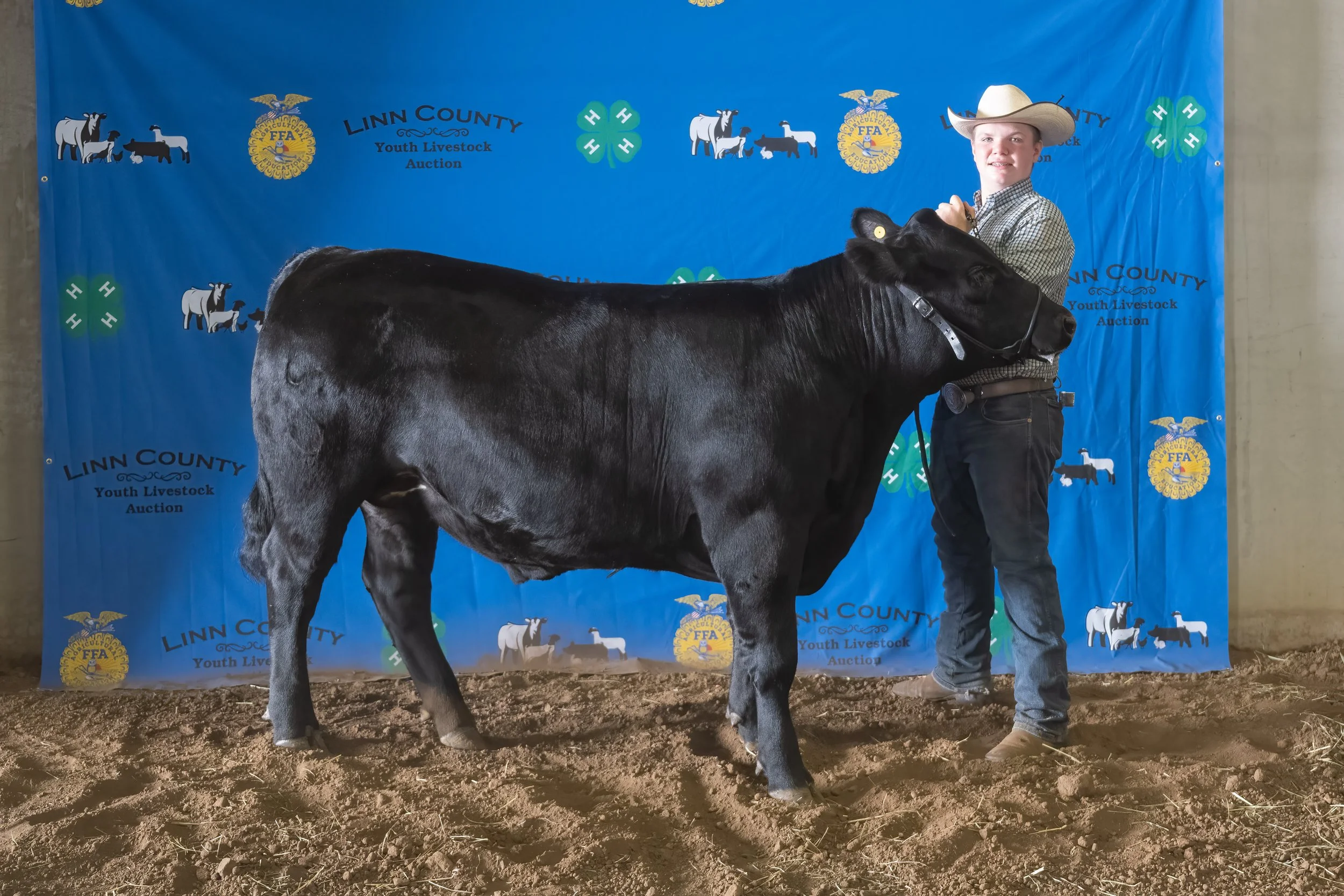 Beef 03 (8058).jpg