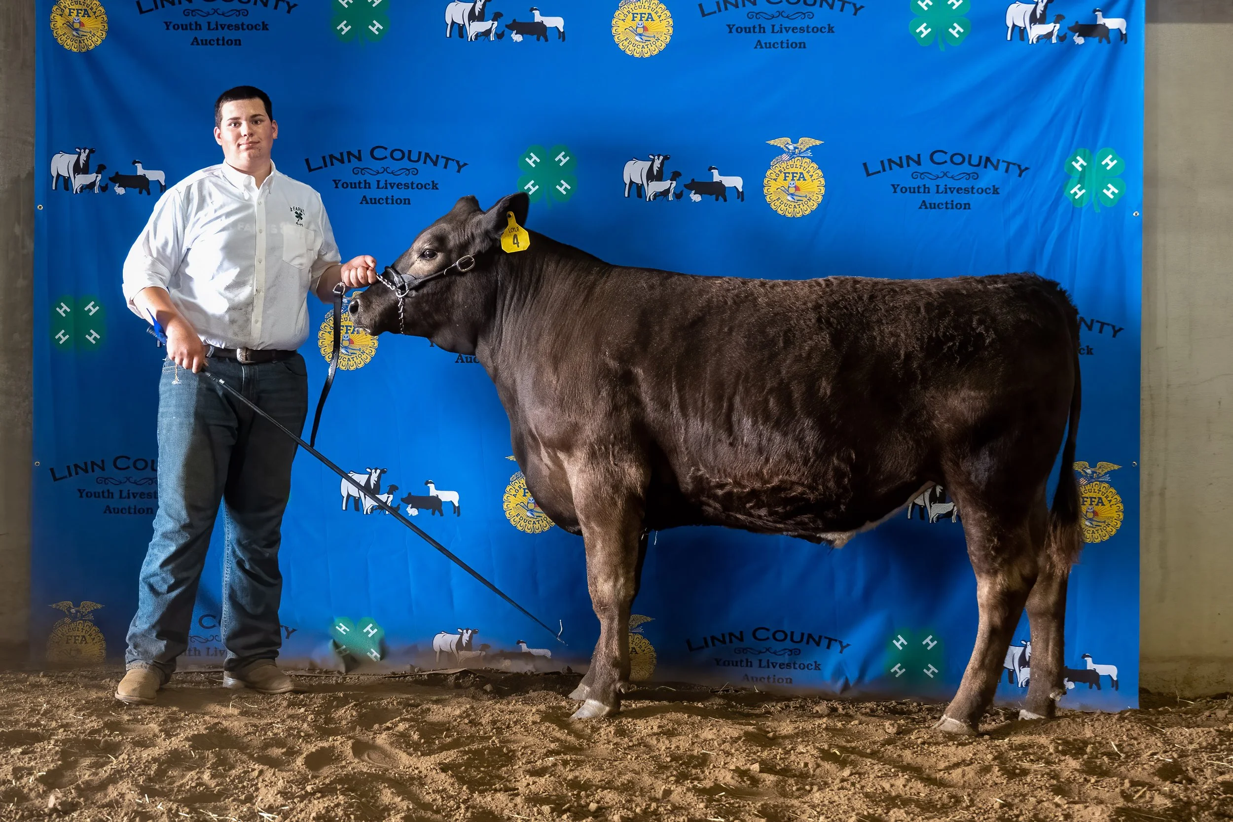 Beef 04 (8250).jpg