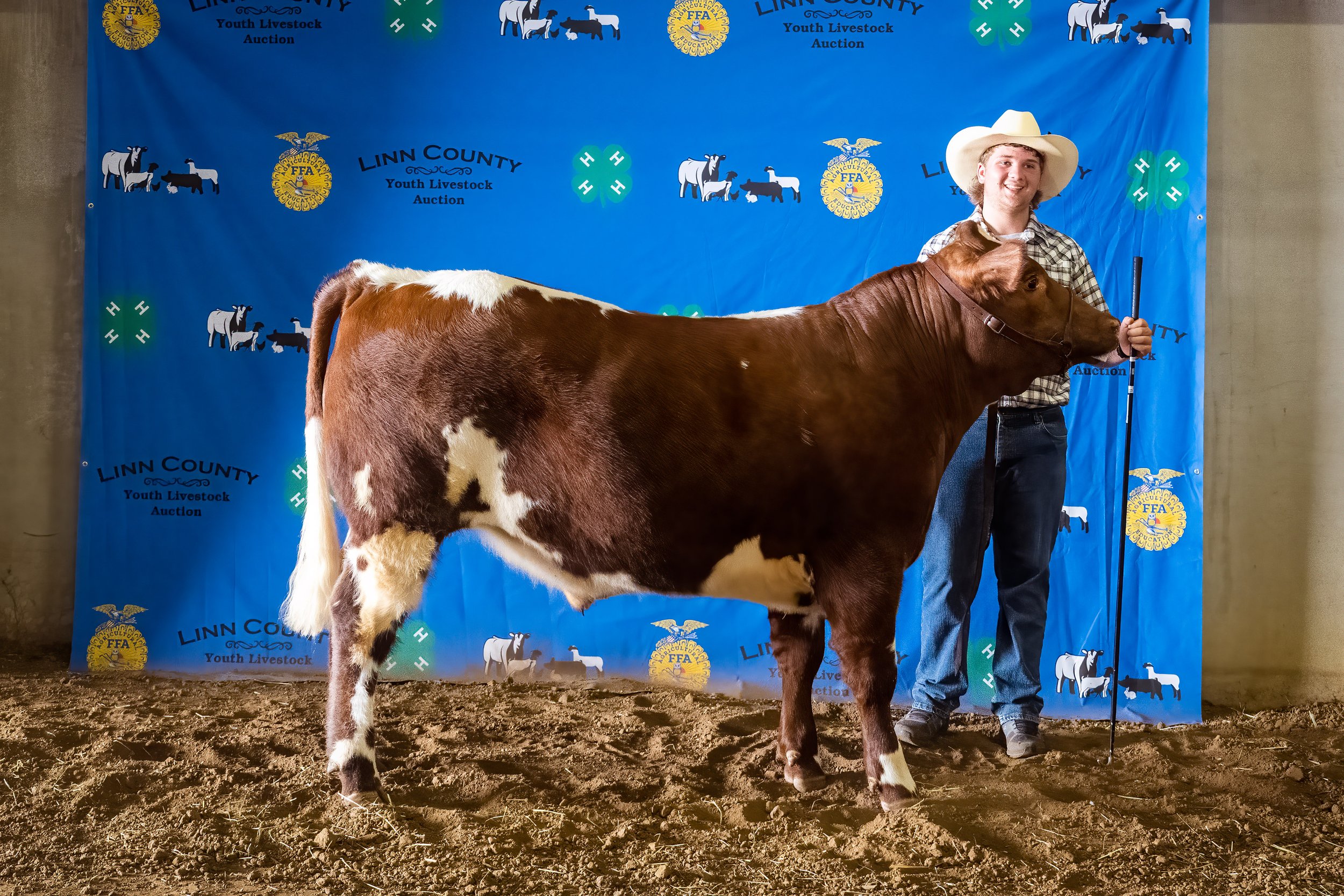 Beef 06 (8205).jpg