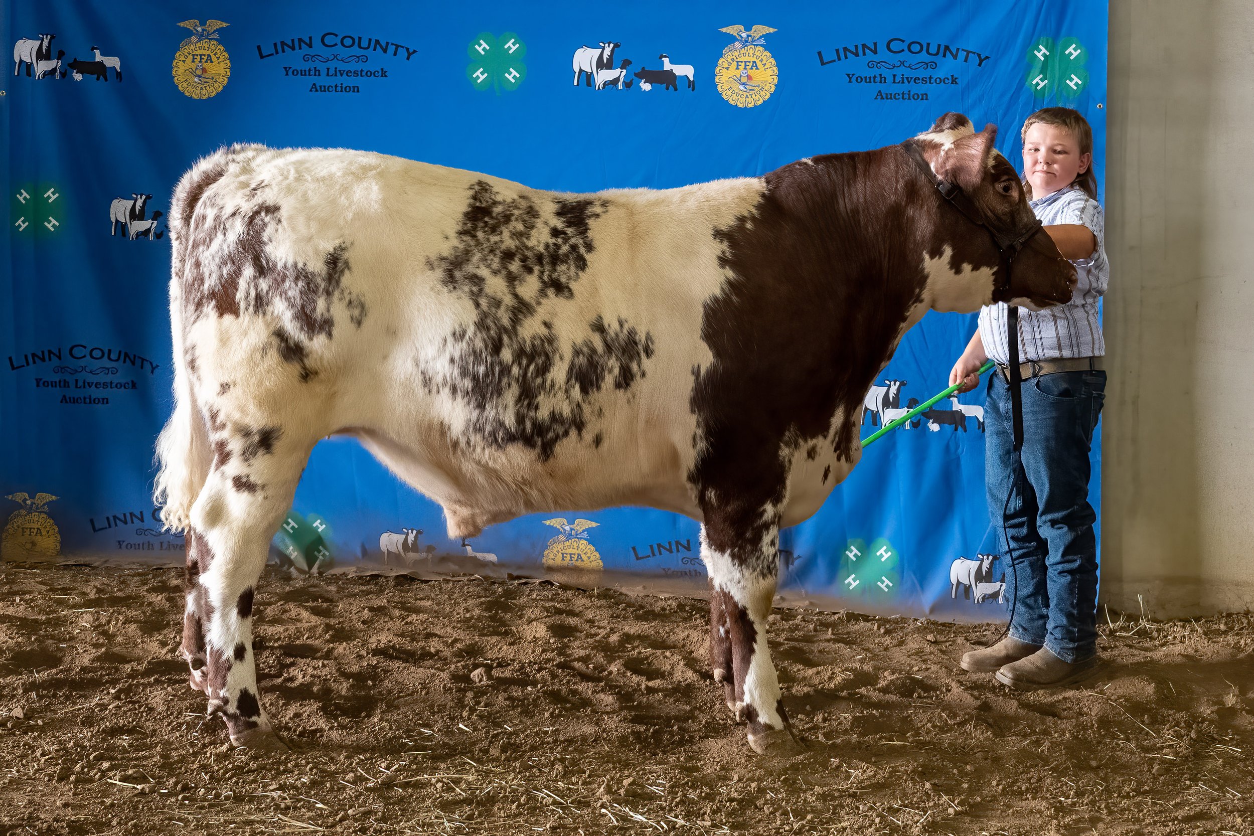 Beef 07 (8515).jpg